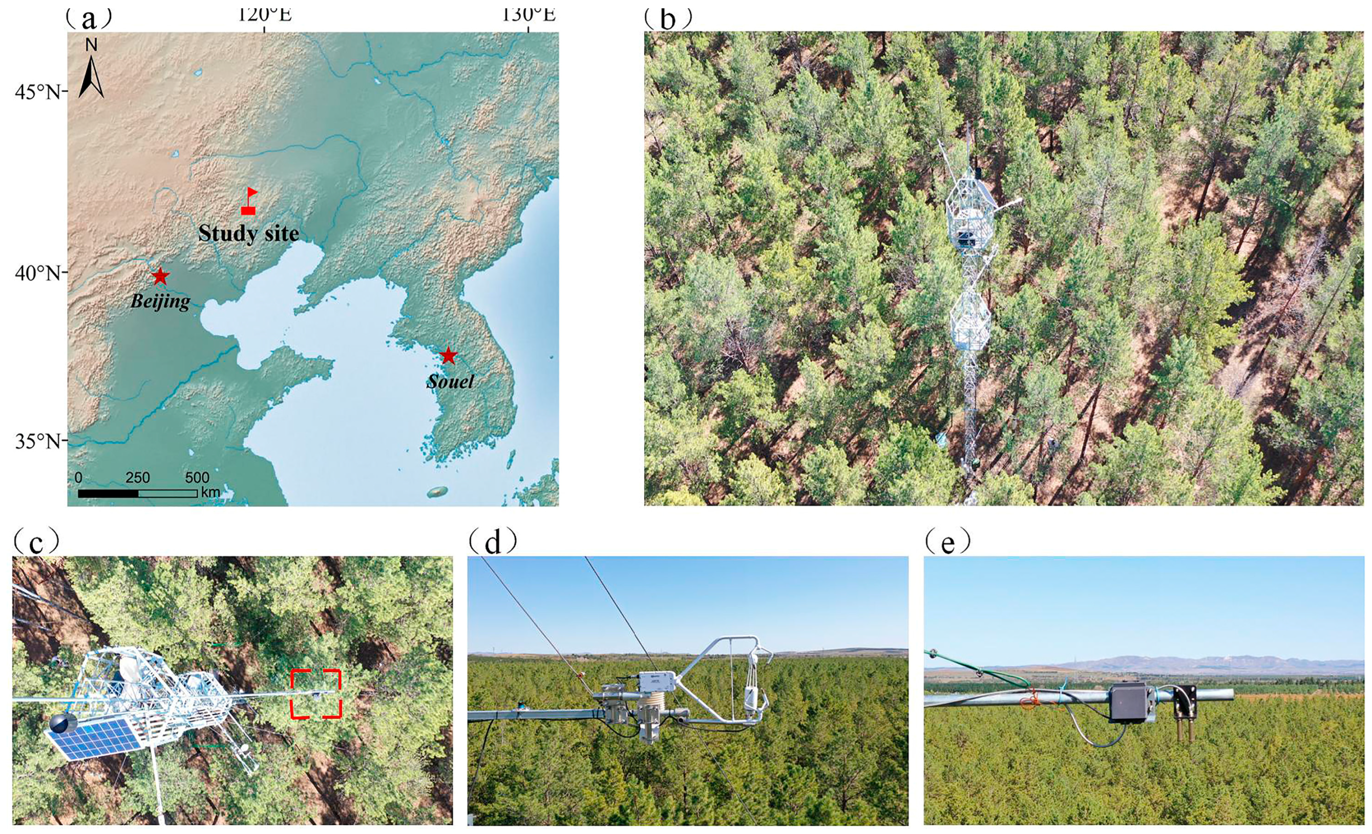 Forests 16 00893 g001