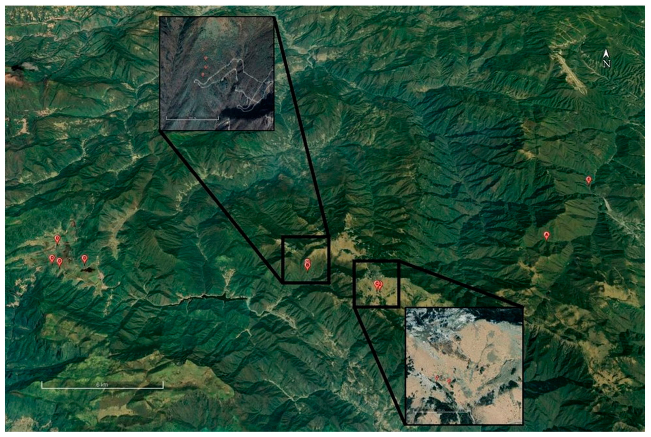 Forests 16 00899 g001