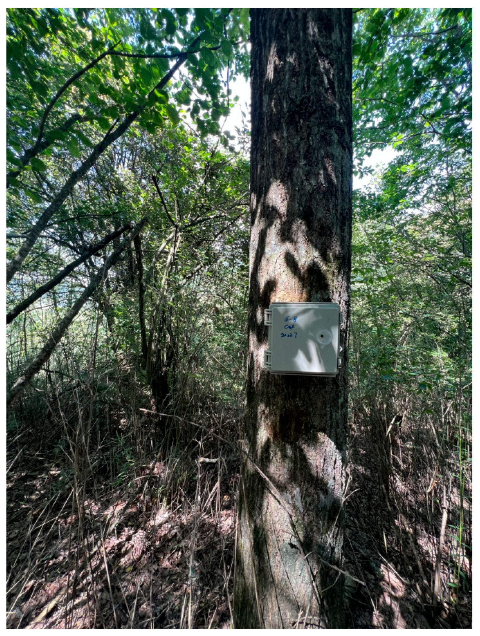 Forests 16 00899 g002