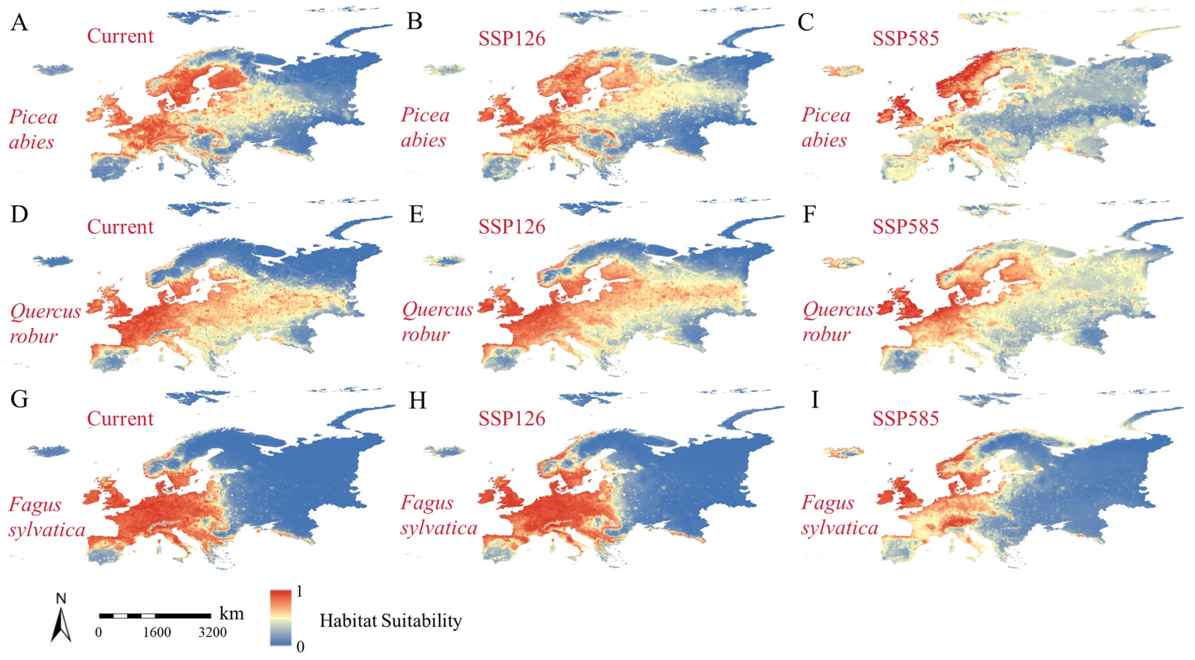 Forests 16 00900 g002