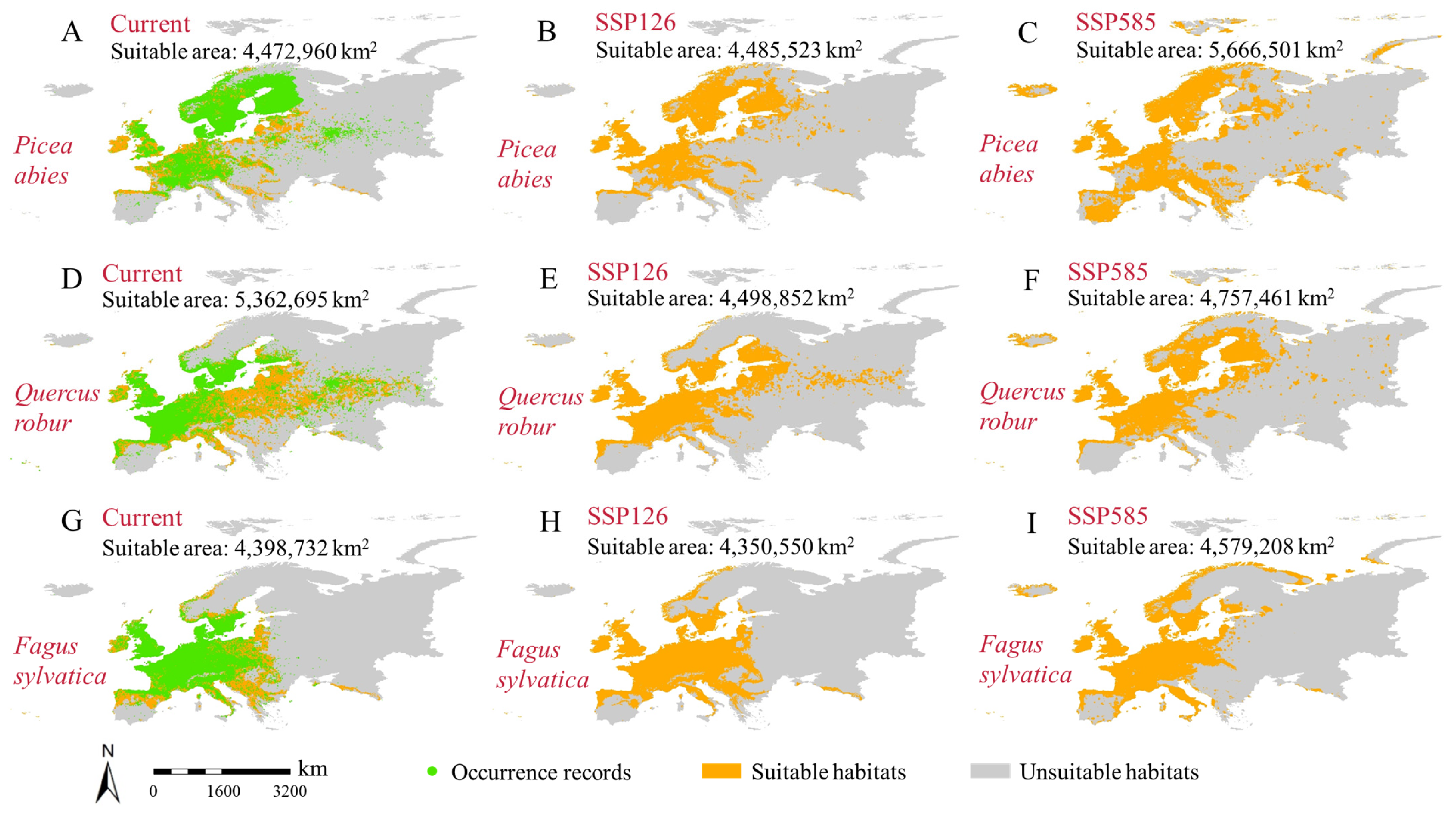 Forests 16 00900 g003