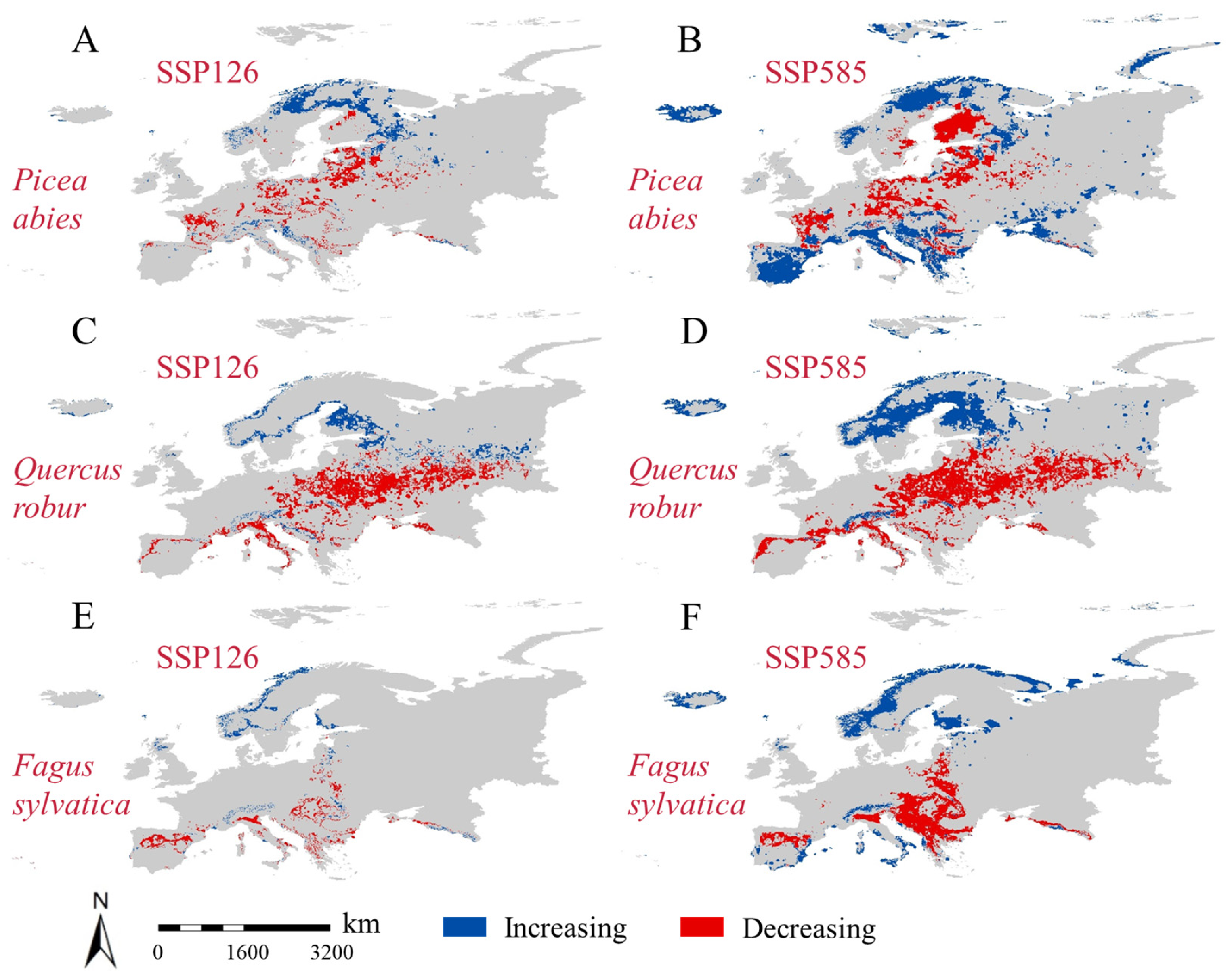 Forests 16 00900 g004
