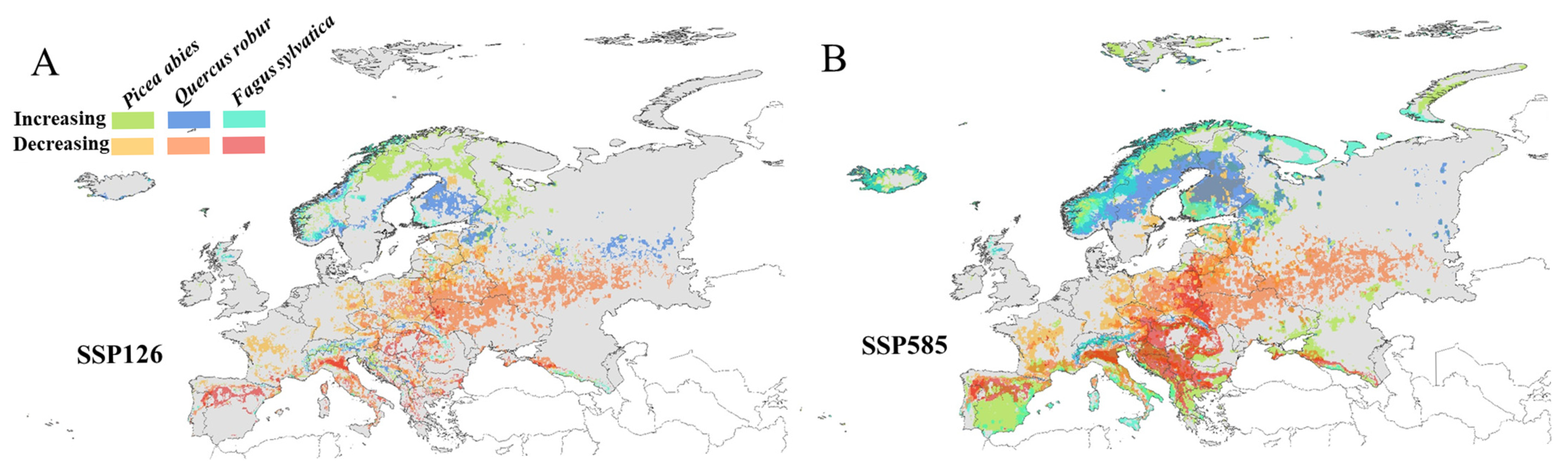 Forests 16 00900 g005