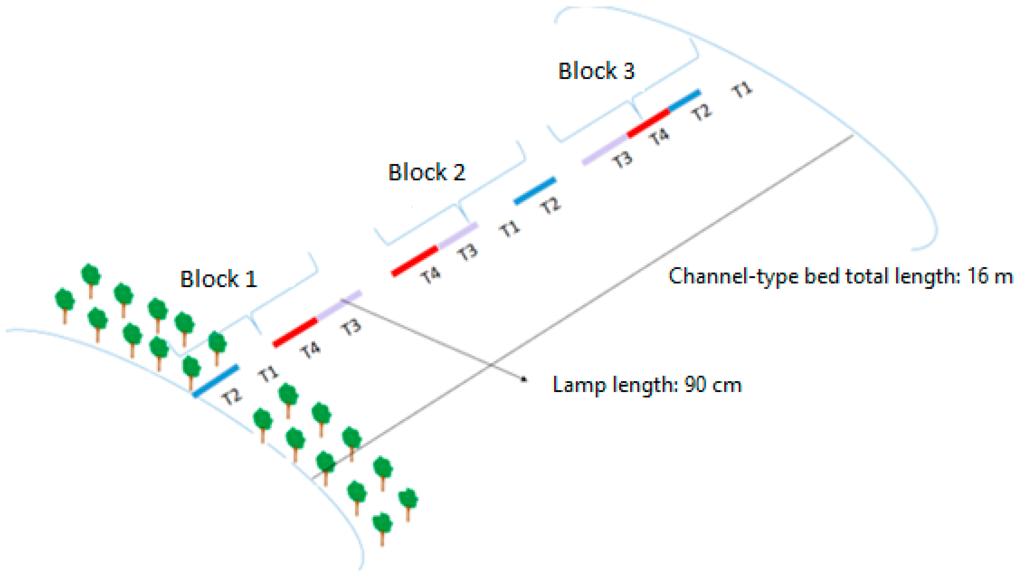 Forests 16 00901 g002
