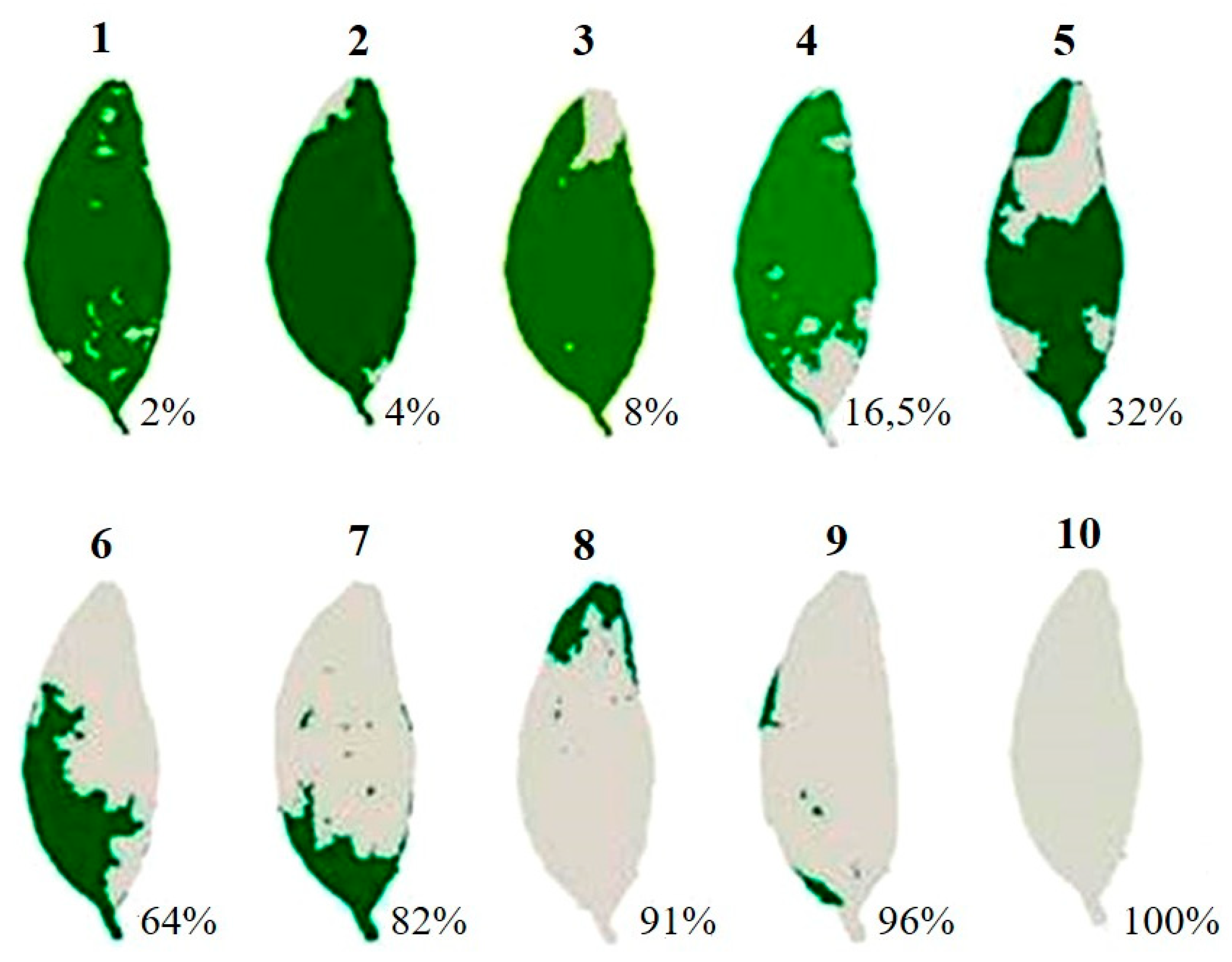 Forests 16 00901 g003