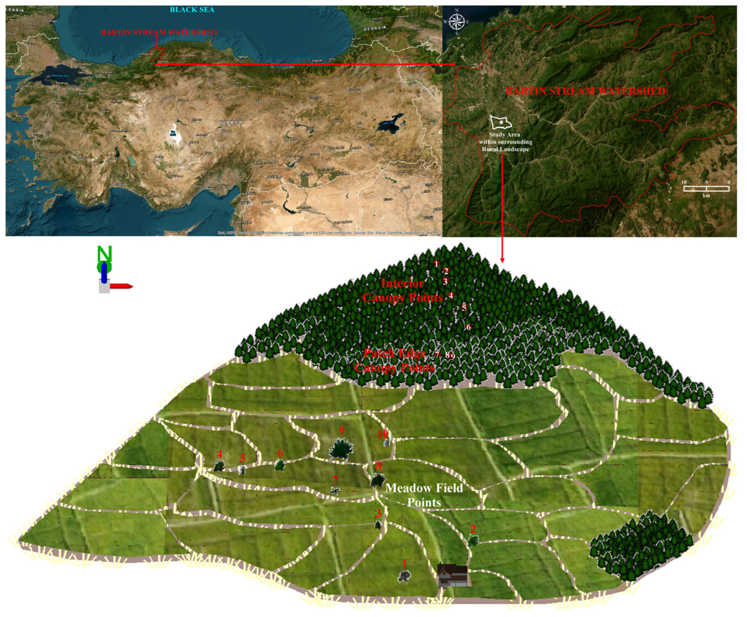 Forests 16 00904 g001