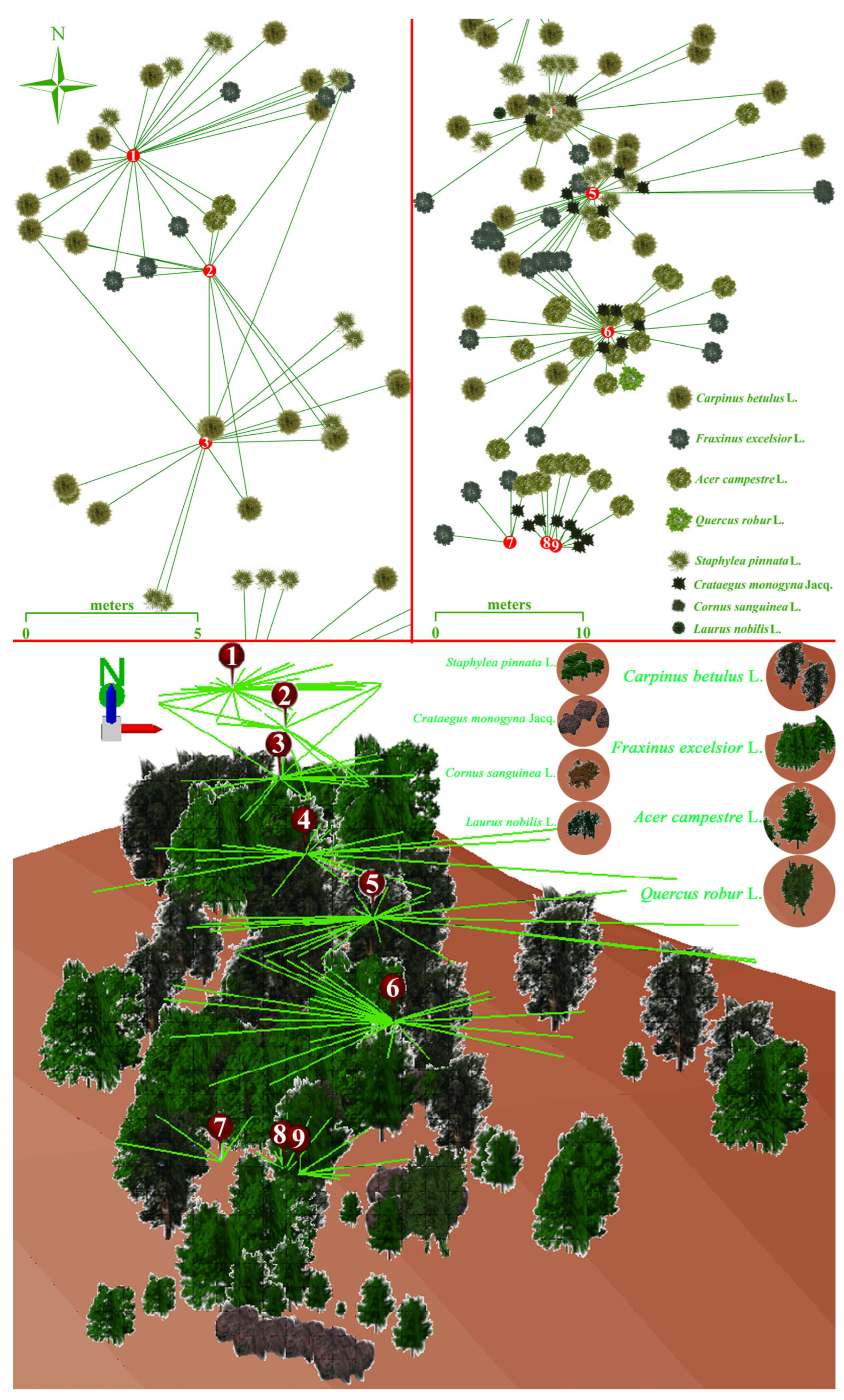 Forests 16 00904 g003