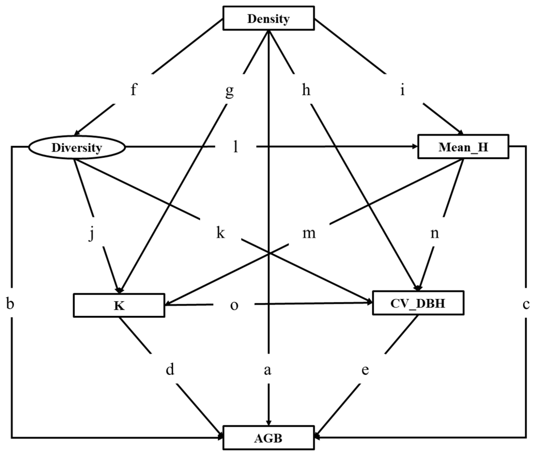Forests 16 00905 g008