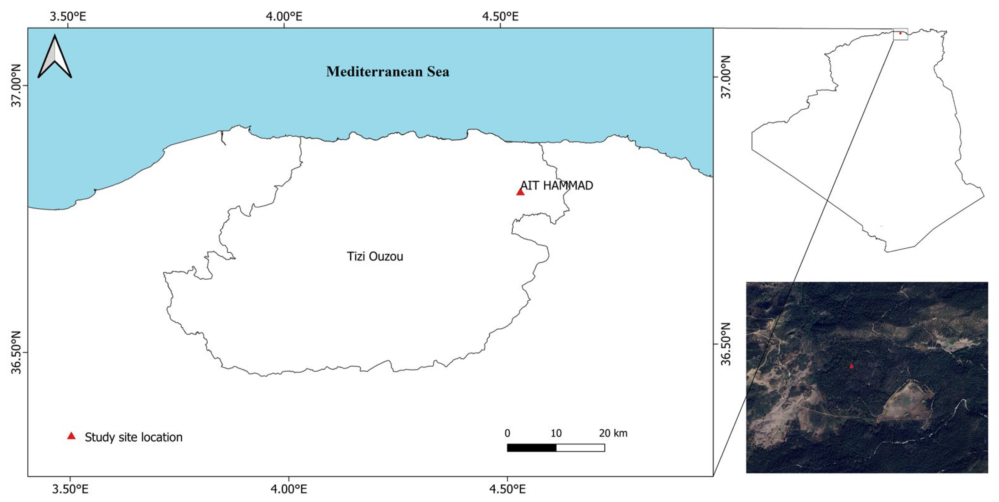 Forests 16 00906 g001