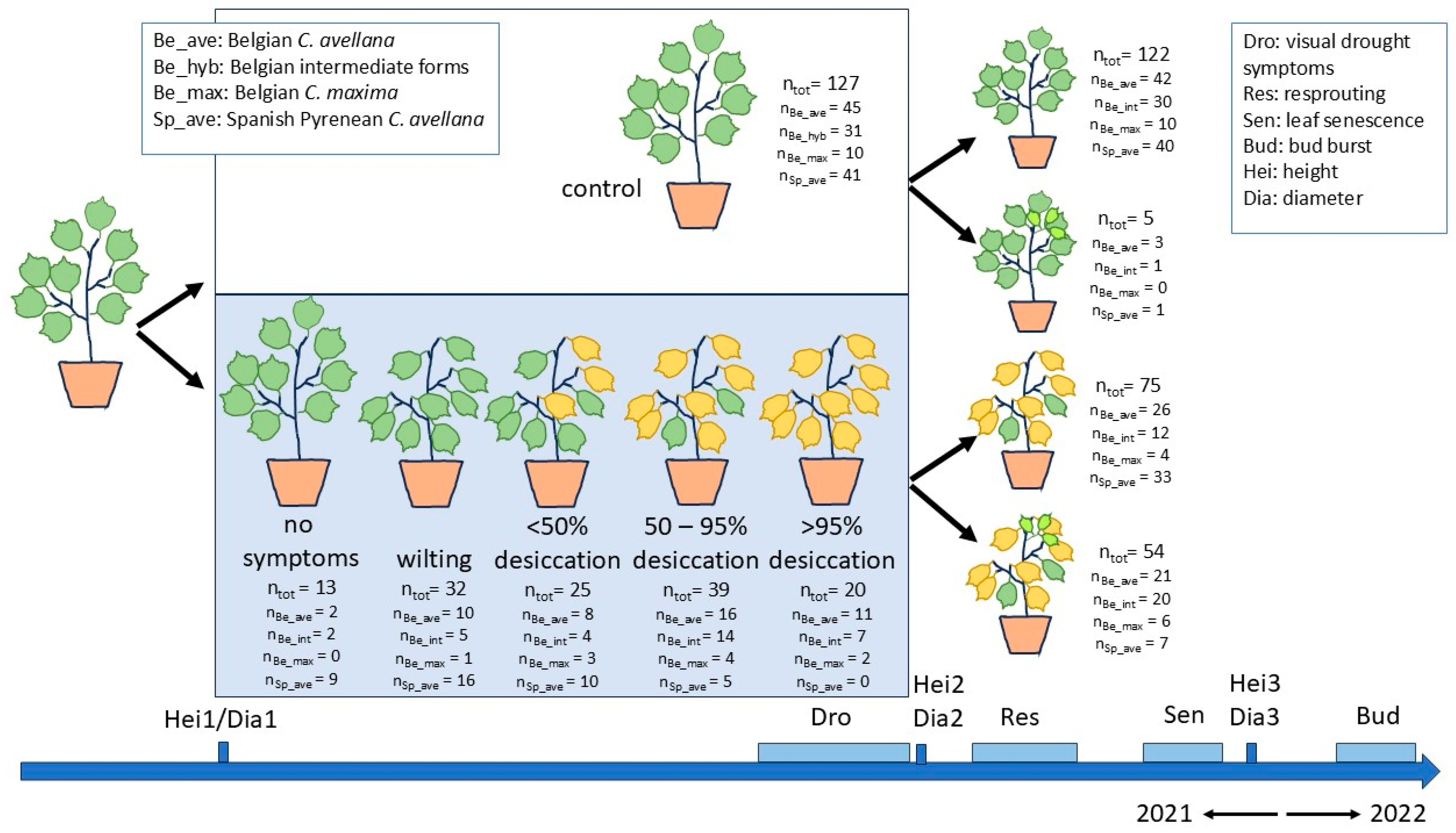 Forests 16 00907 g001