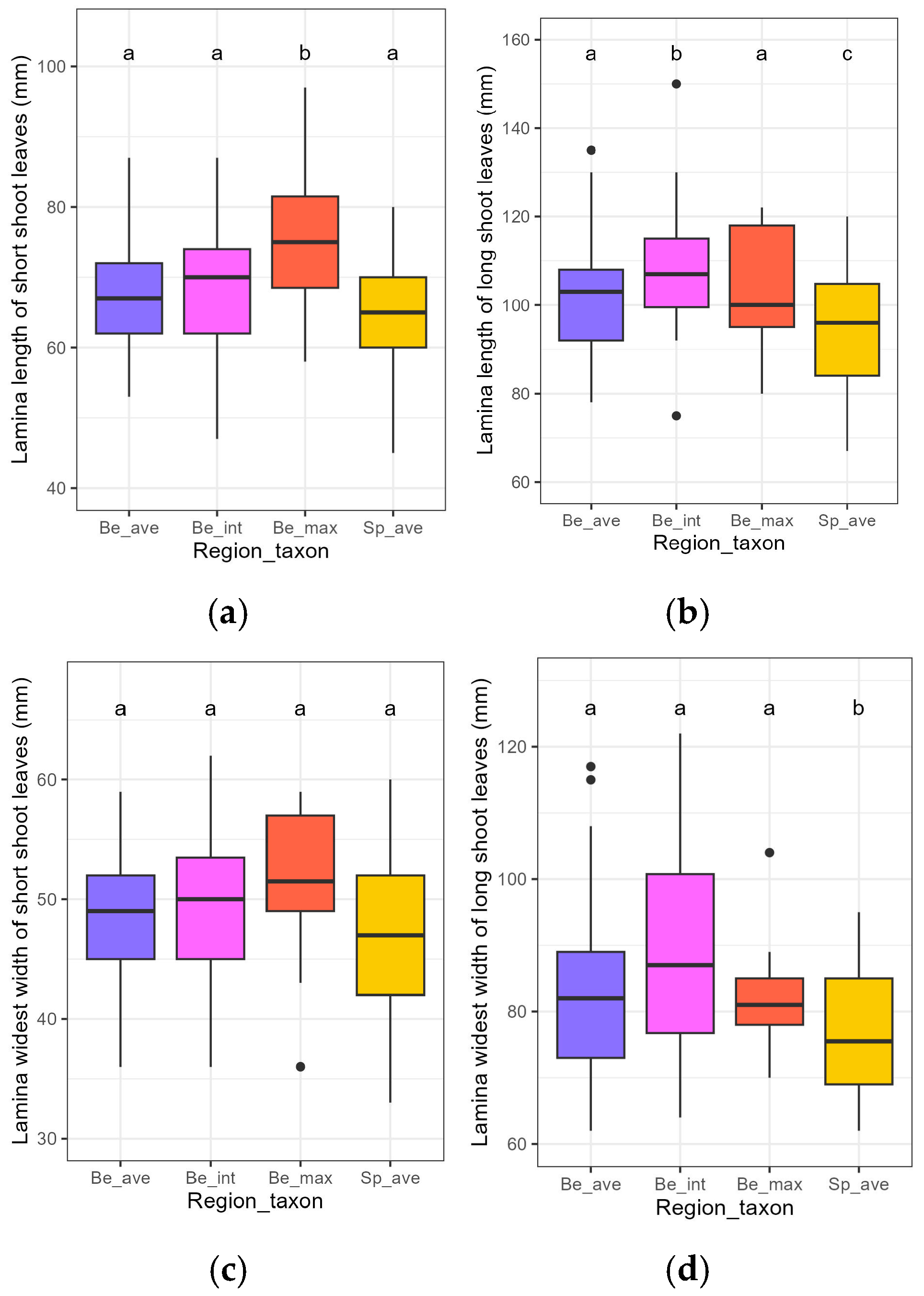 Forests 16 00907 g004