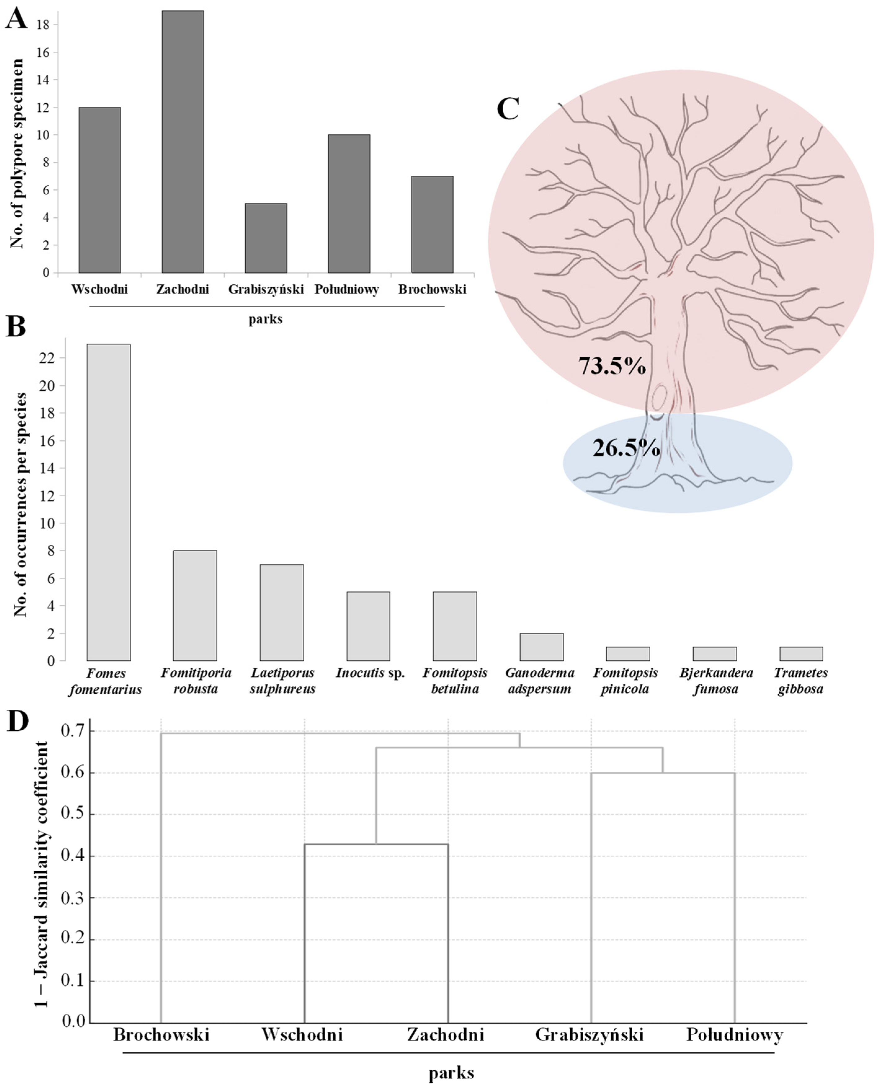 Forests 16 00908 g002 Forests 16 00908 g002