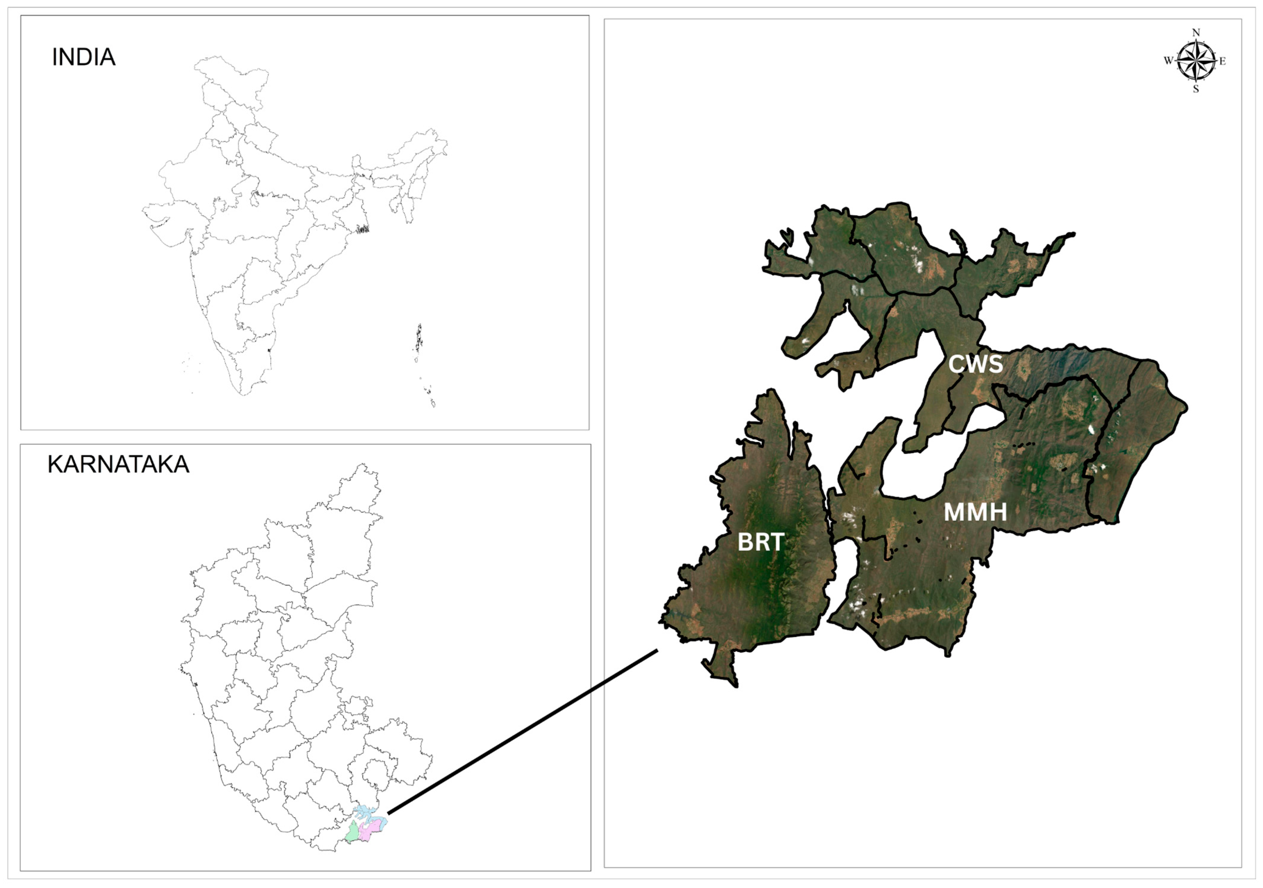 Forests 16 00911 g001