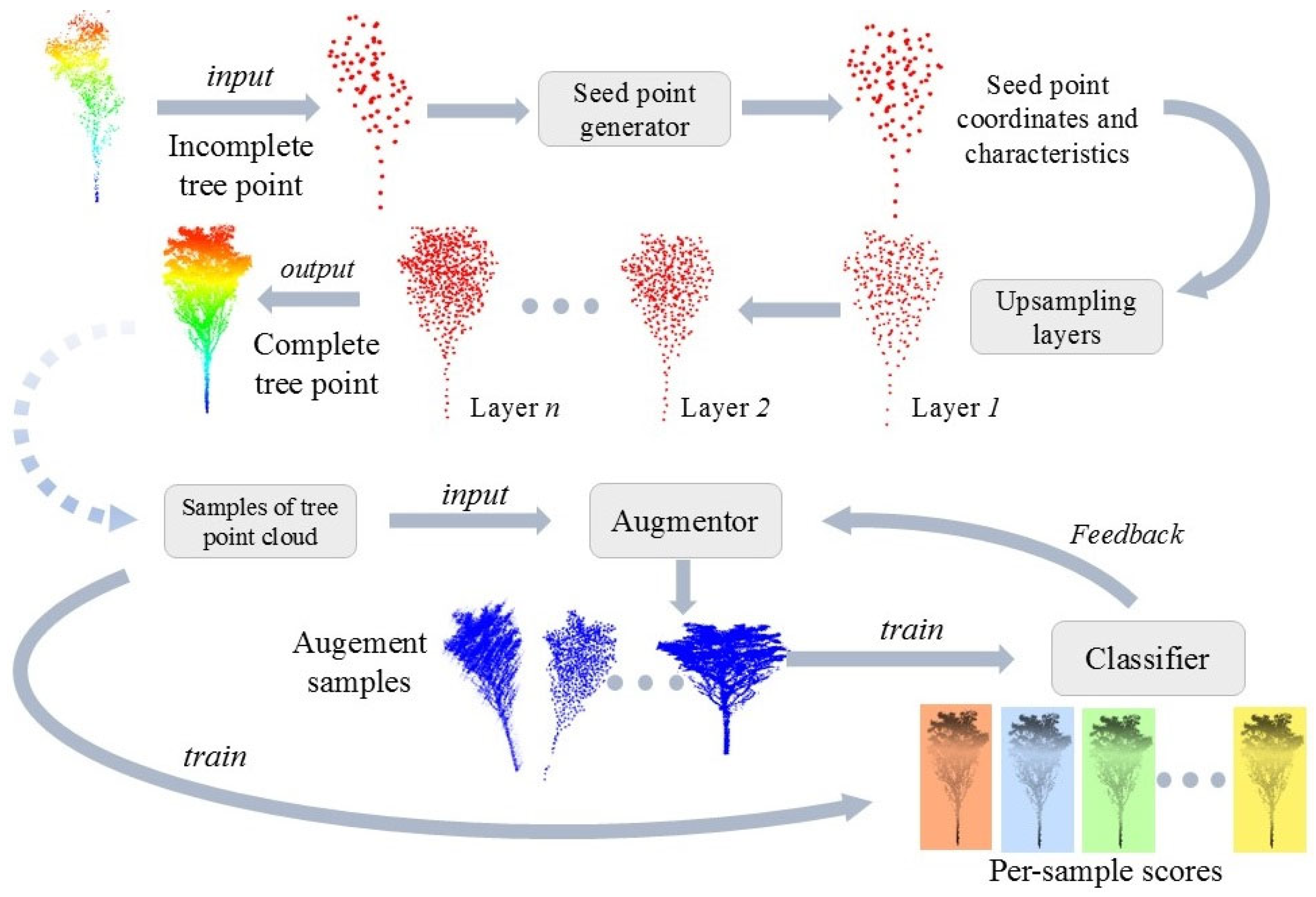 Forests 16 00915 g002