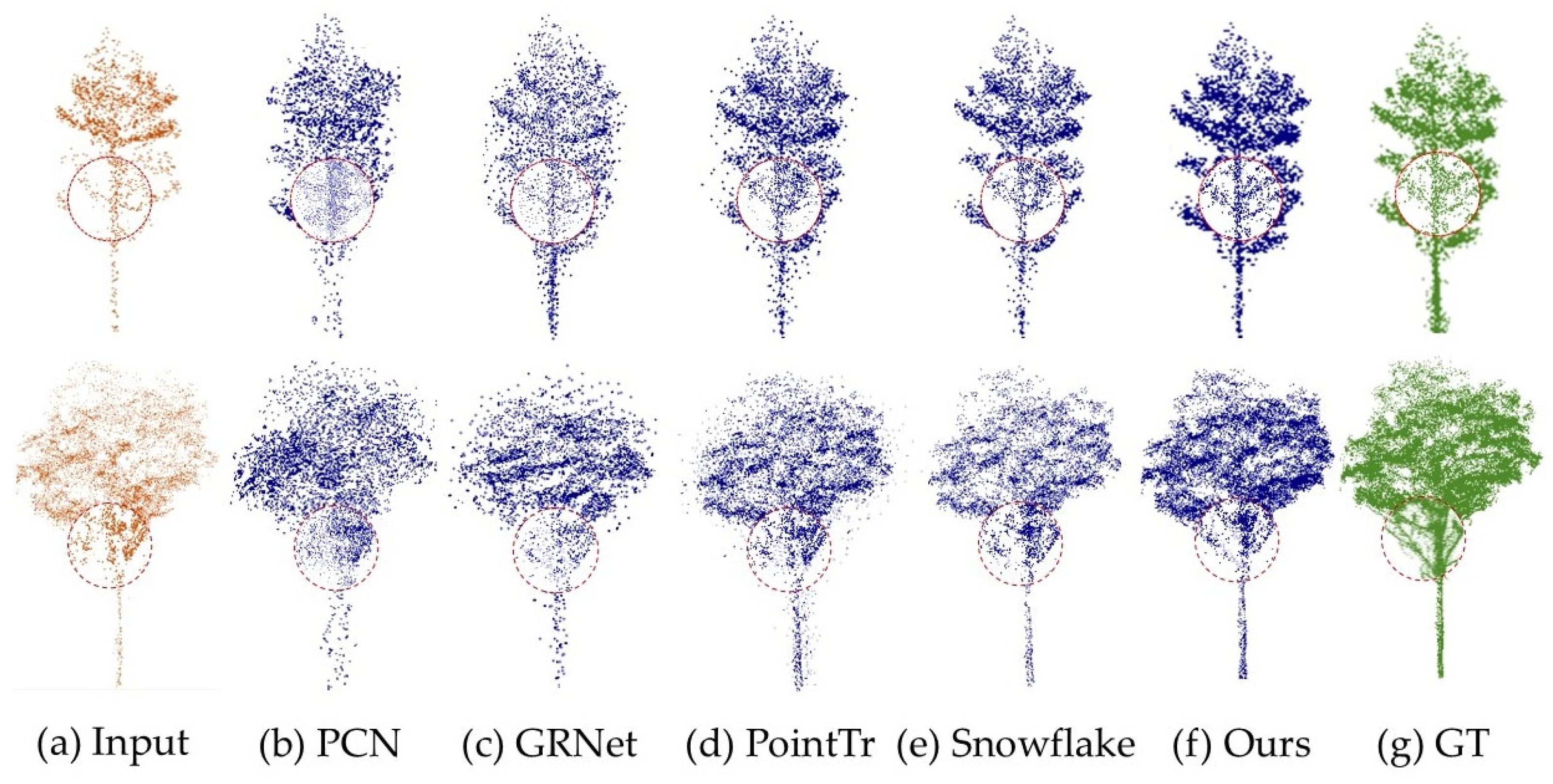Forests 16 00915 g007