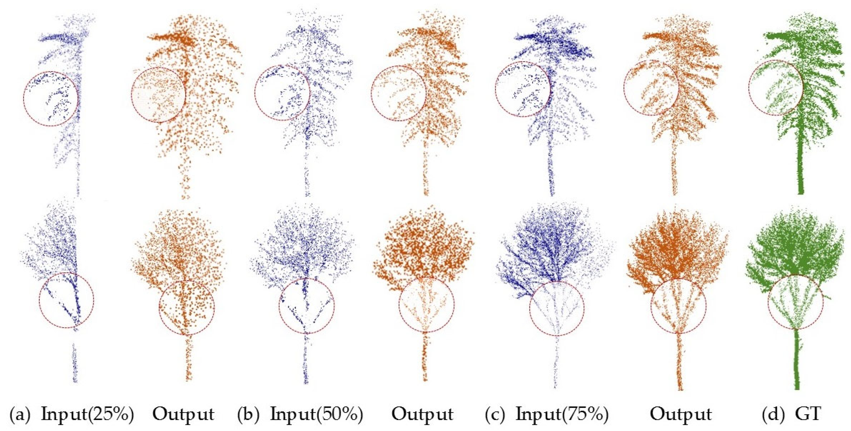 Forests 16 00915 g008
