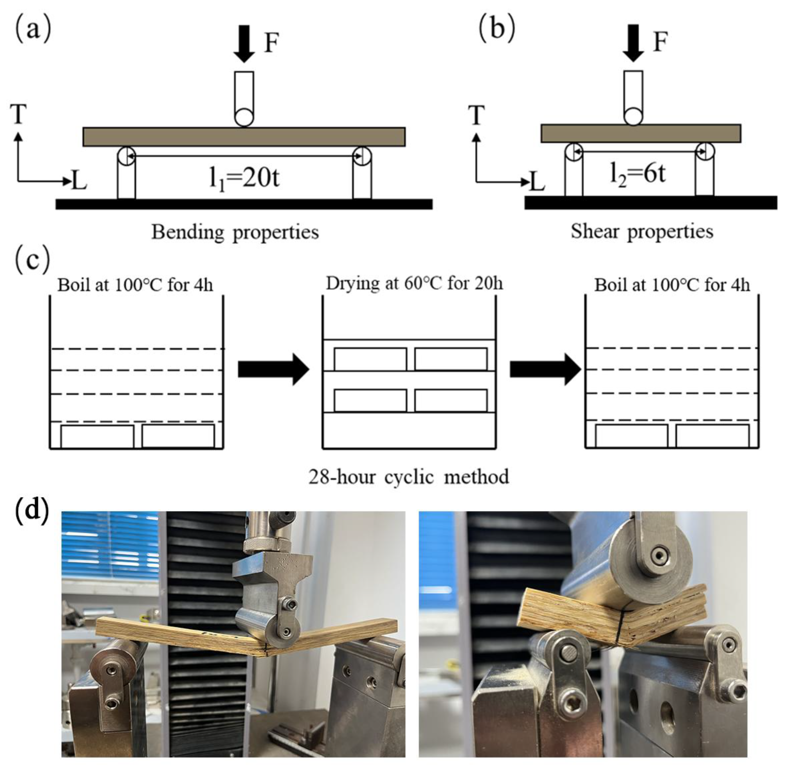 Forests 16 00916 g002