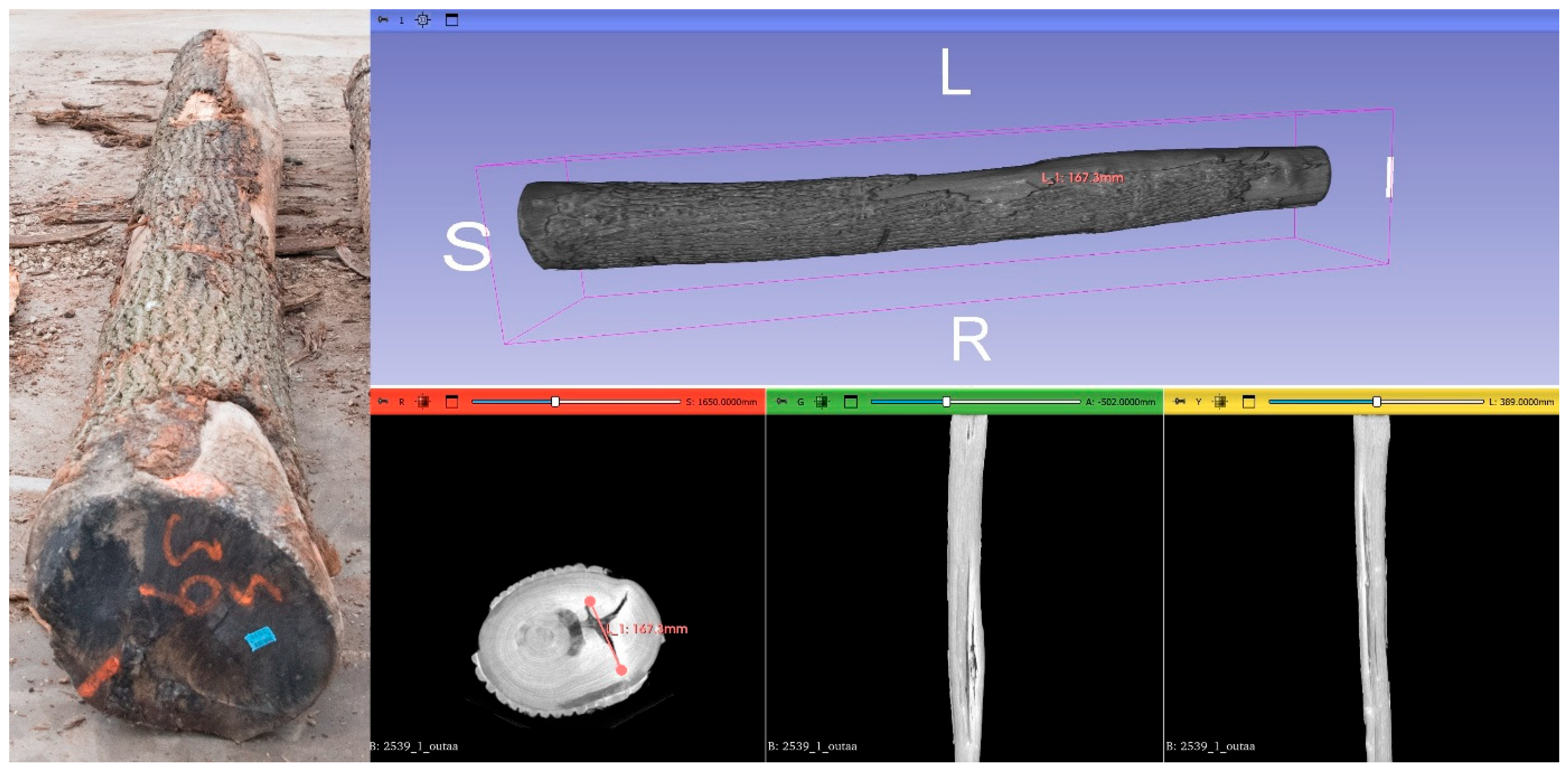 Forests 16 00918 g005