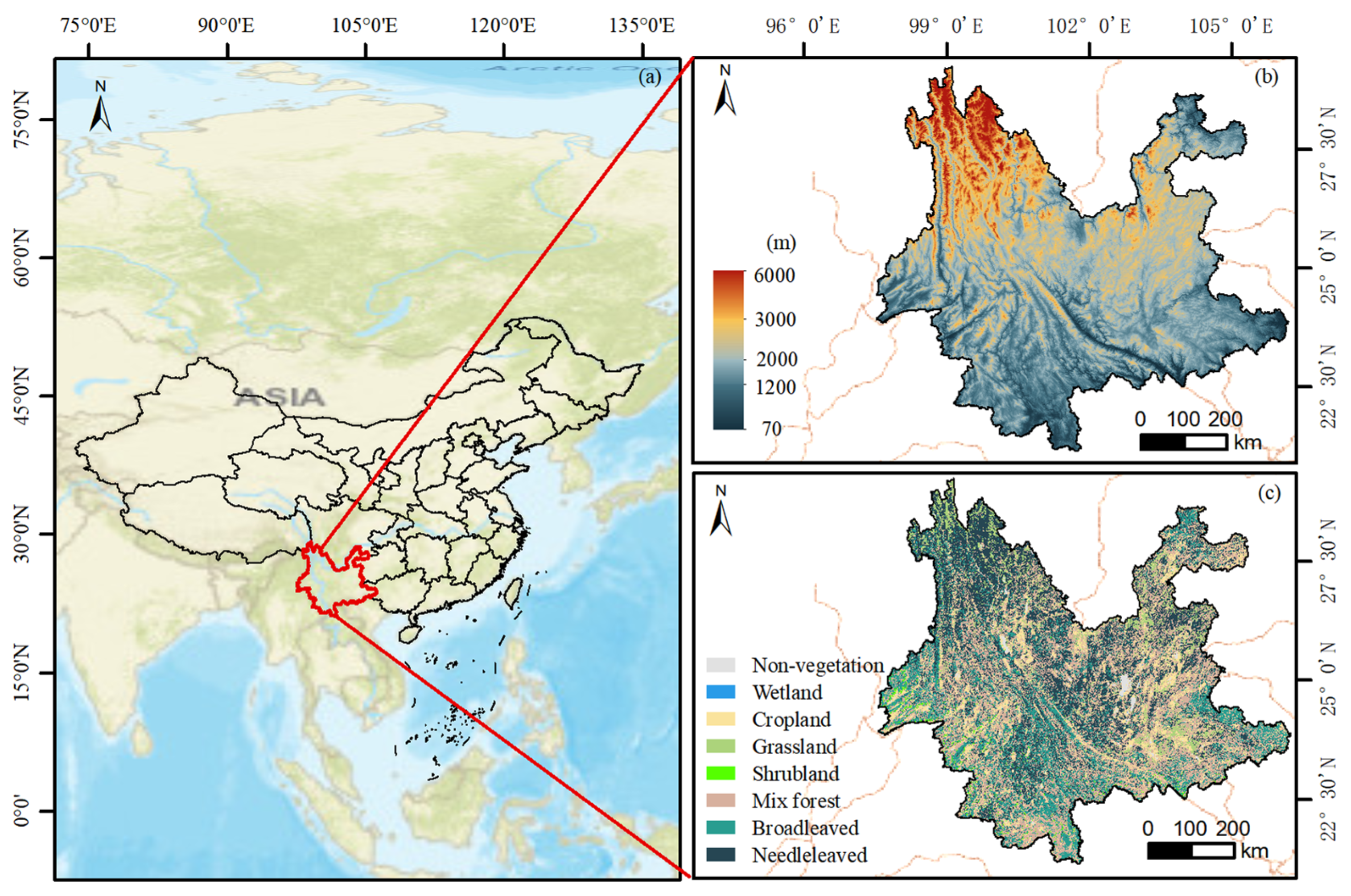 Vegetation Net Primary Productivity Dynamics over the Past