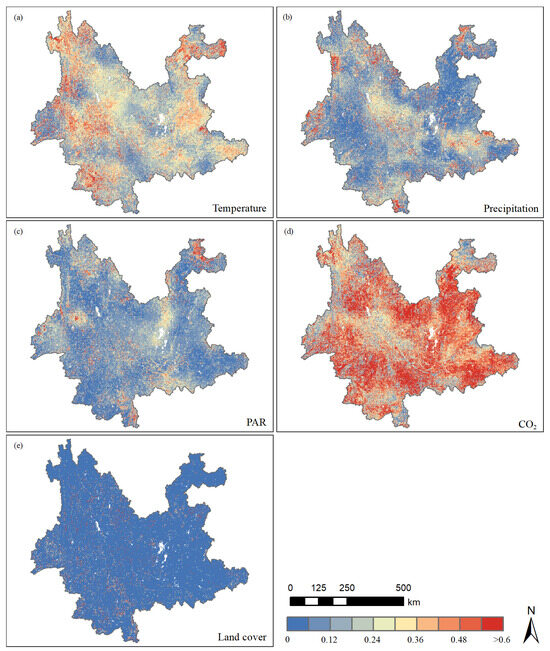 Vegetation Net Primary Productivity Dynamics over the Past