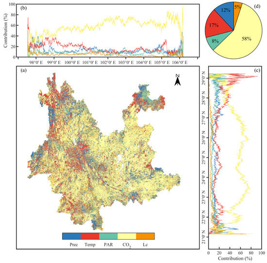 Vegetation Net Primary Productivity Dynamics over the Past