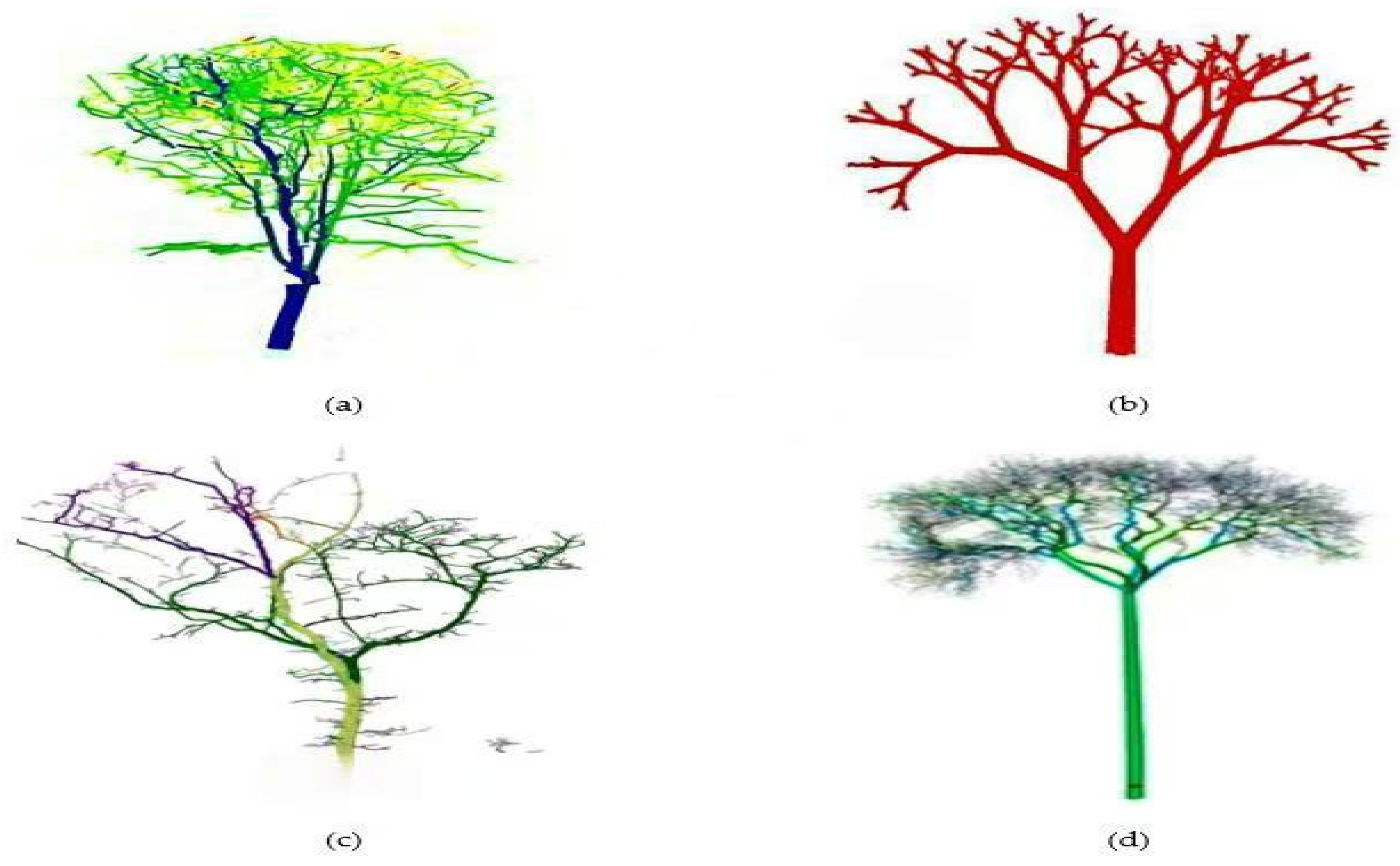 Forests 16 00920 g002