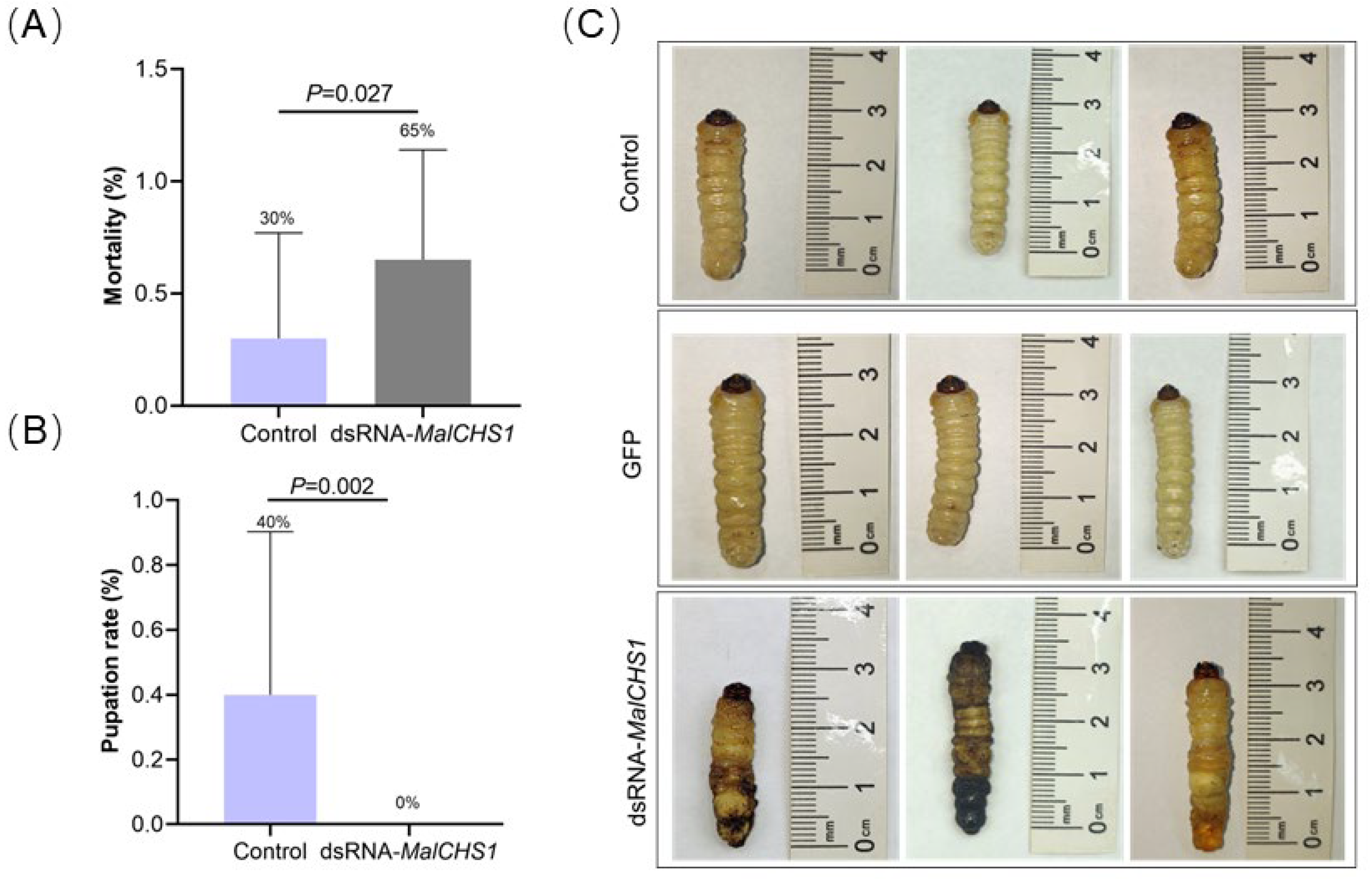 Forests 16 00922 g004