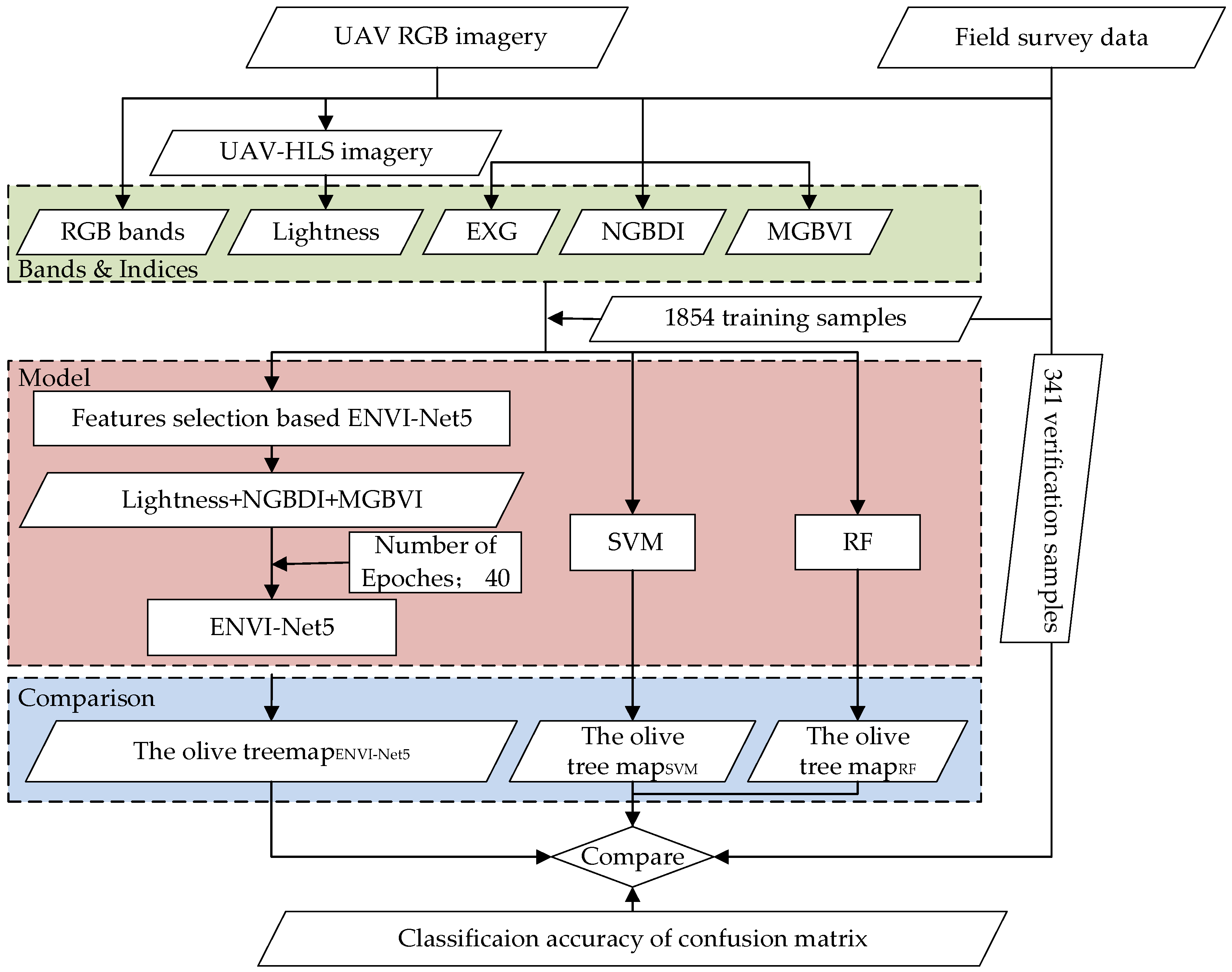 Forests 16 00924 g001