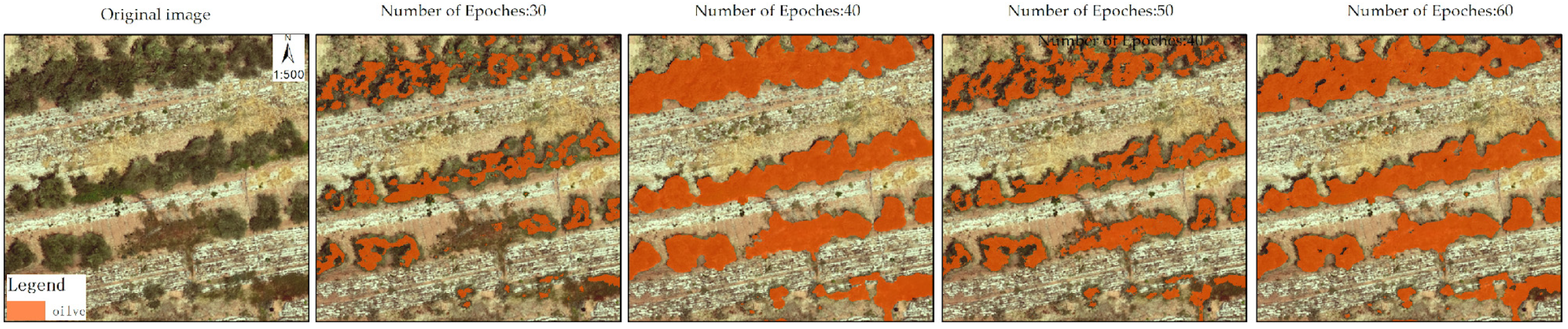 Forests 16 00924 g003