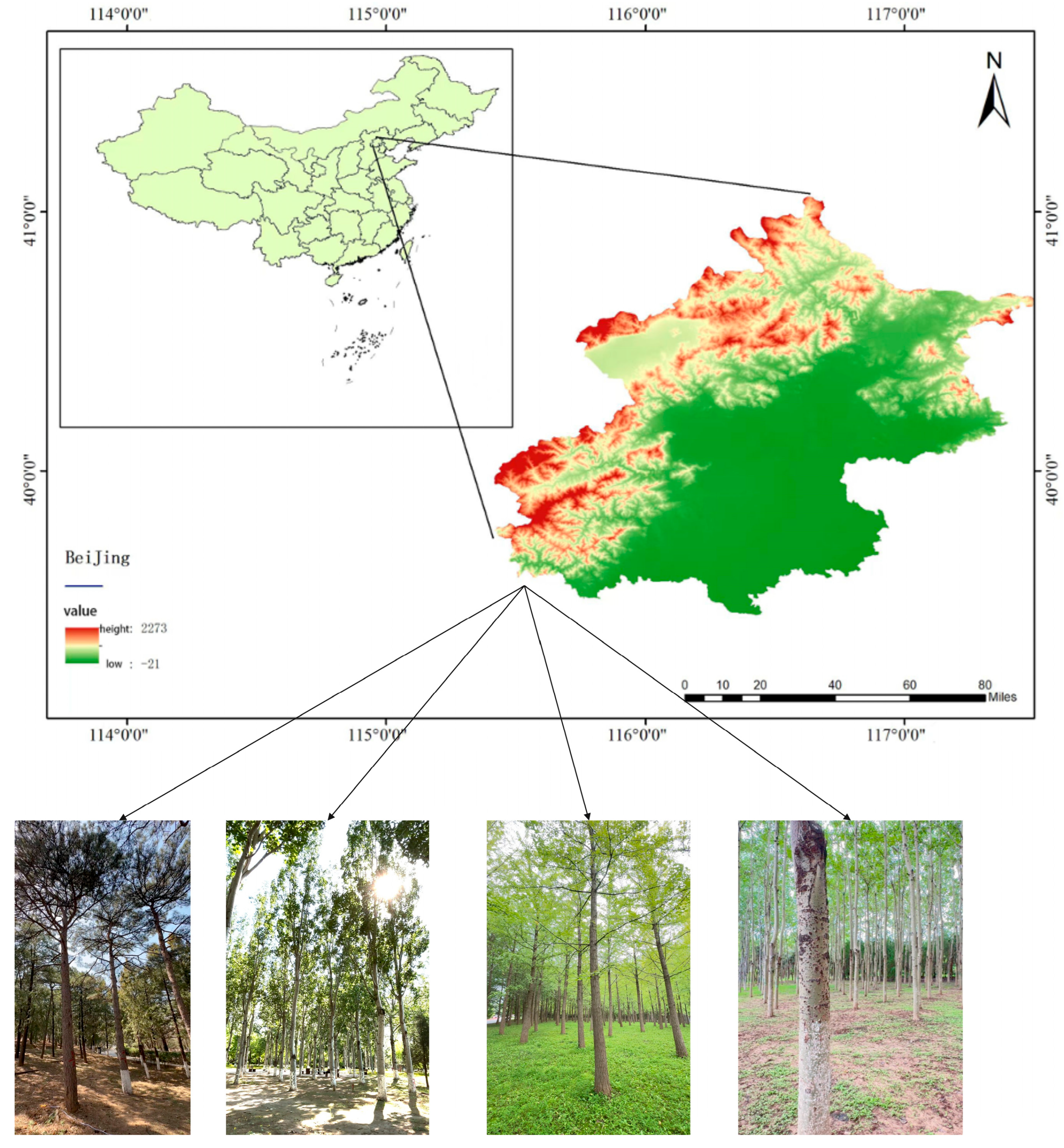 Forests 16 00927 g001