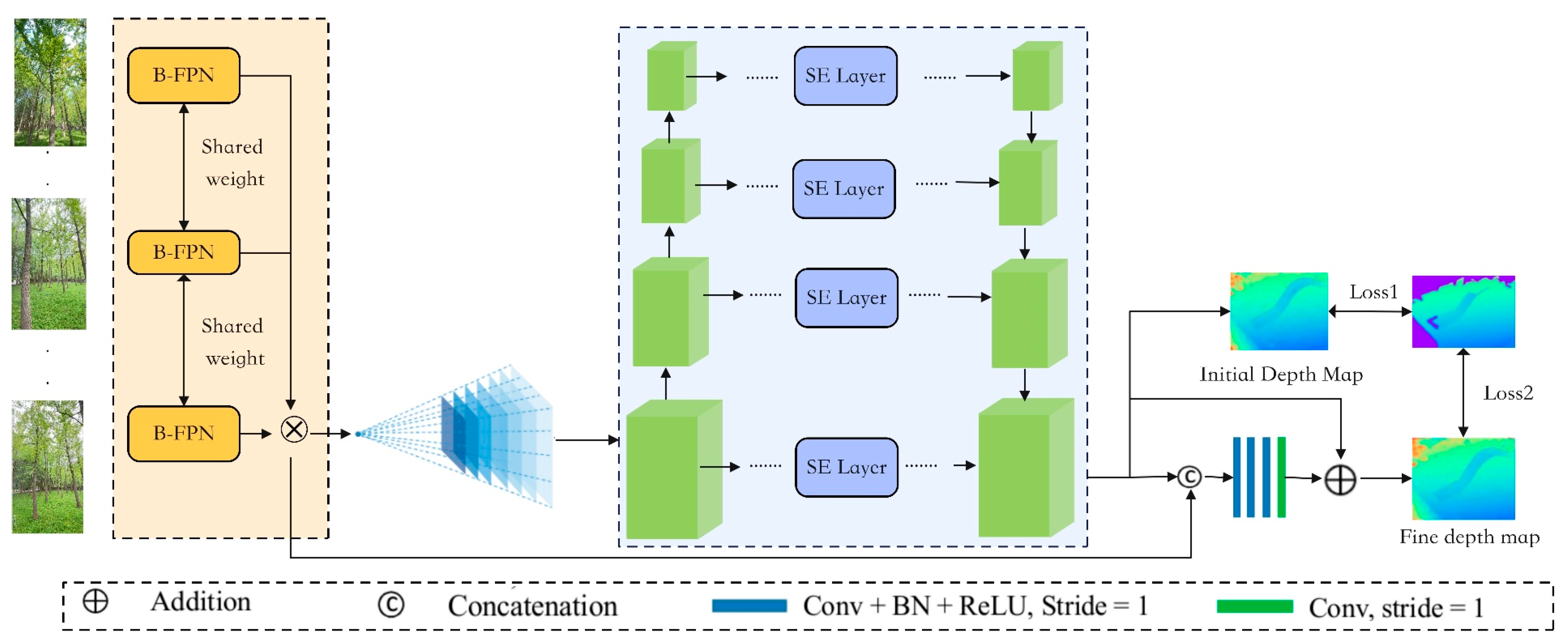 Forests 16 00927 g004