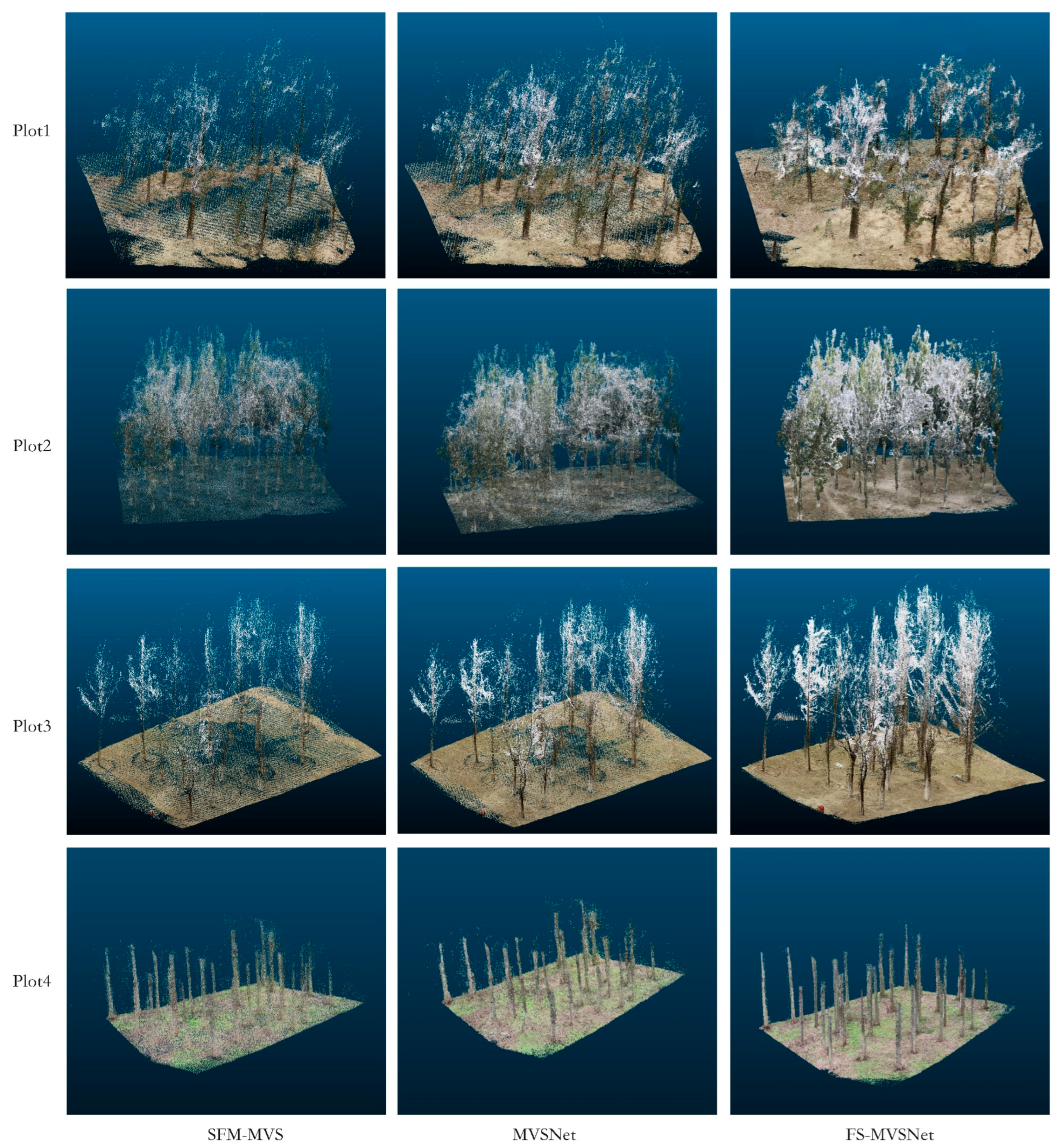 Forests 16 00927 g008