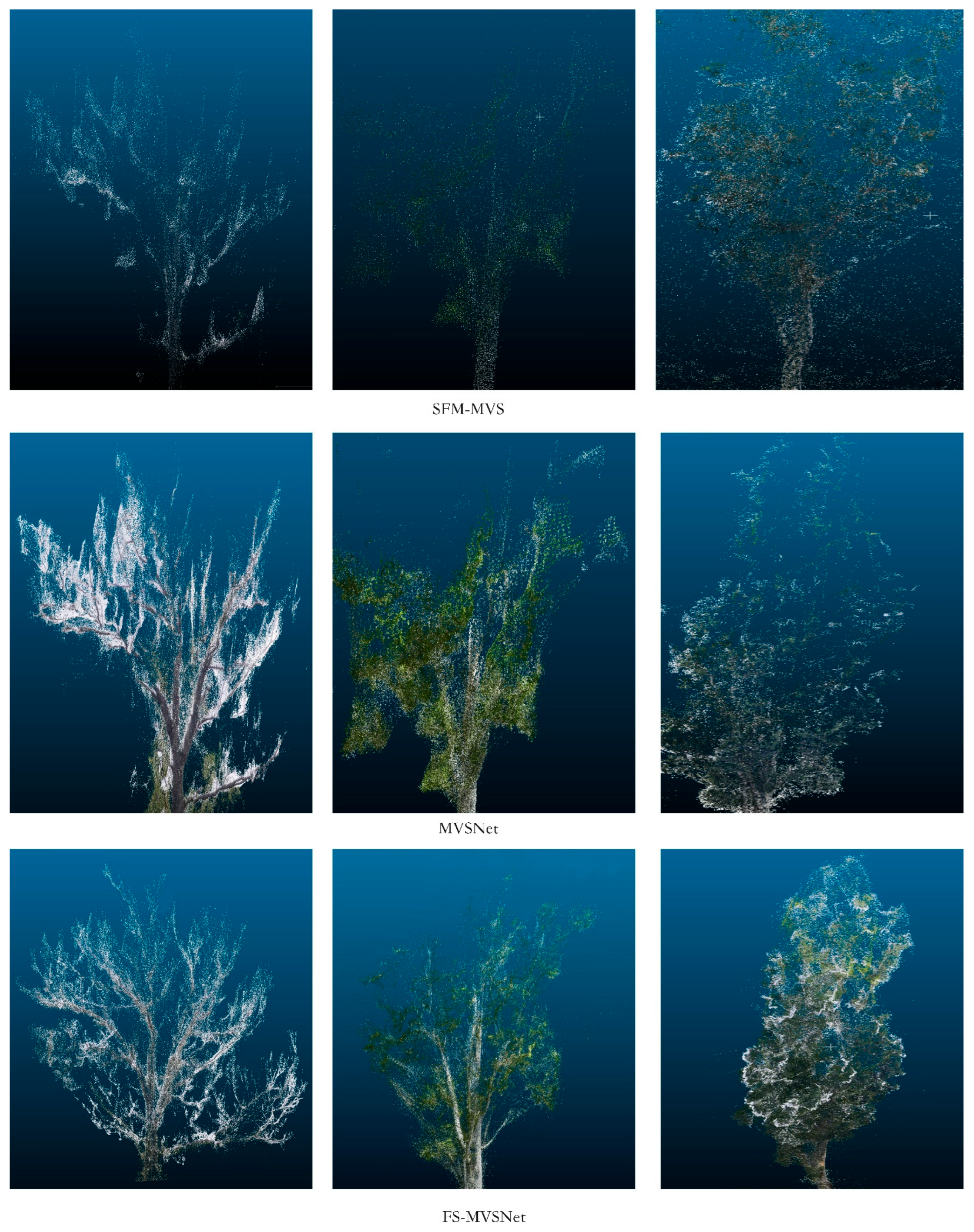 Forests 16 00927 g010