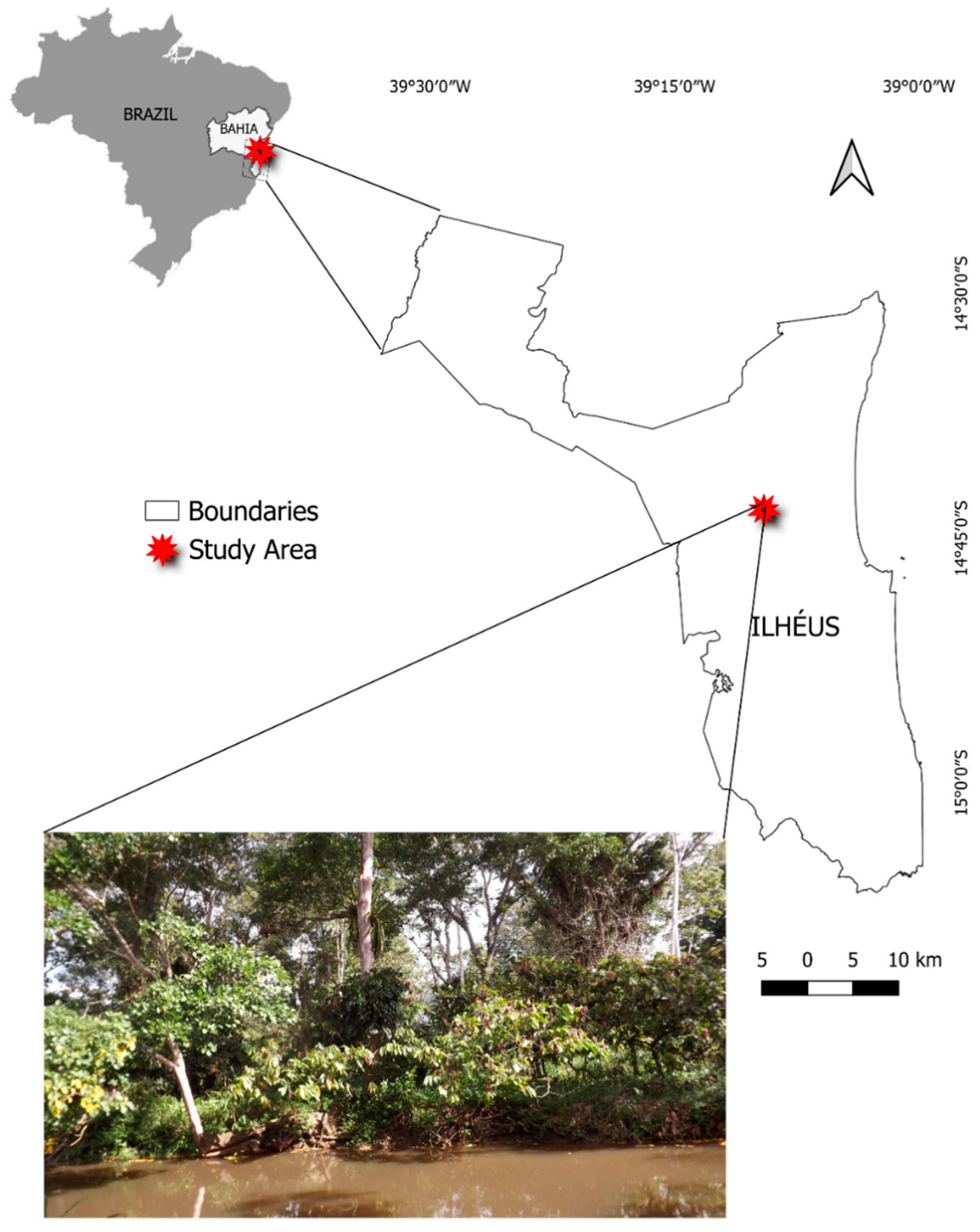 Forests 16 00929 g001