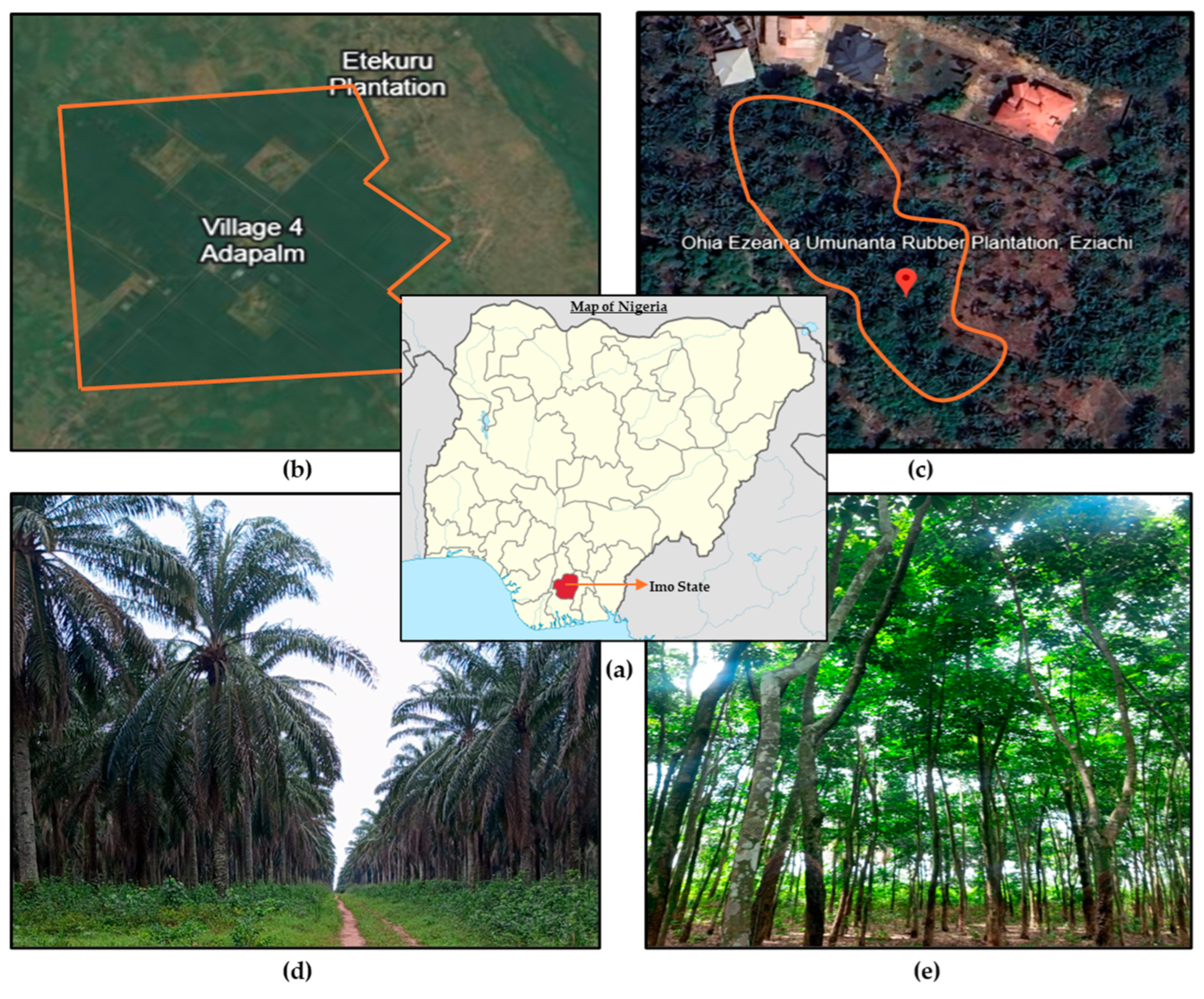 Forests 16 00937 g001