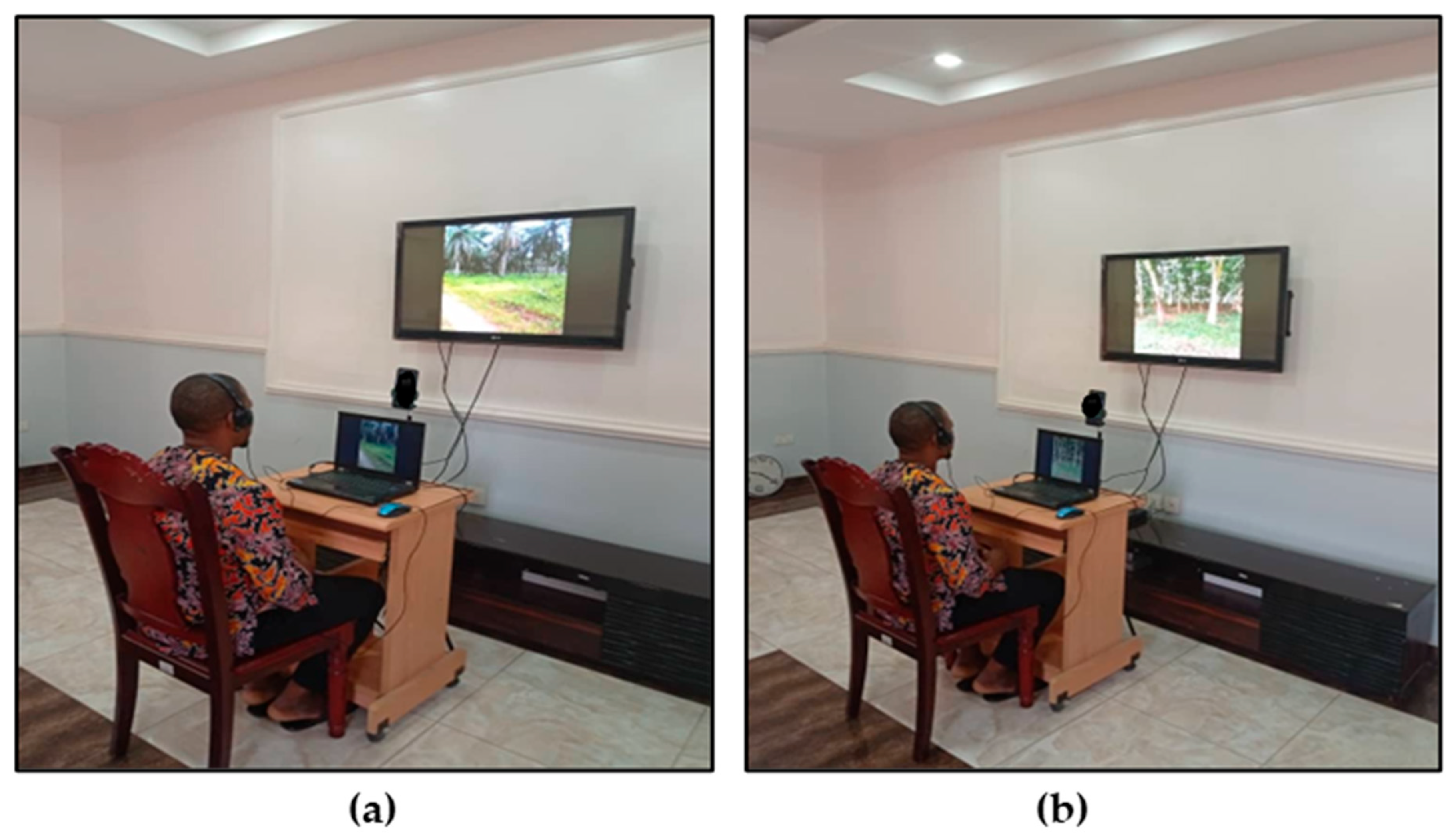 Forests 16 00937 g002