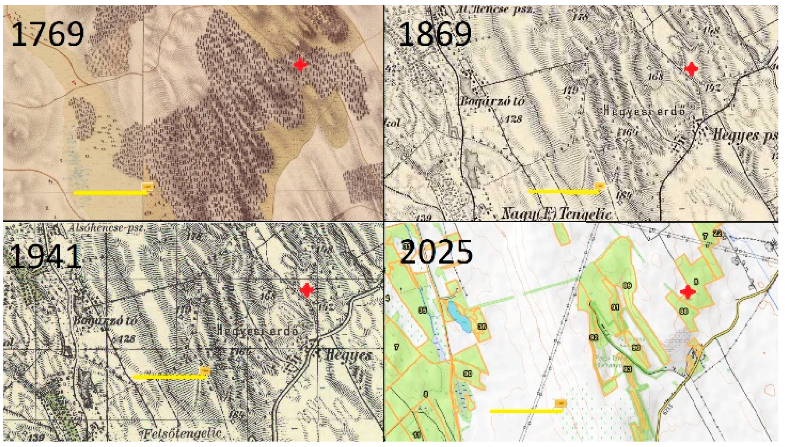 Forests 16 00939 g001