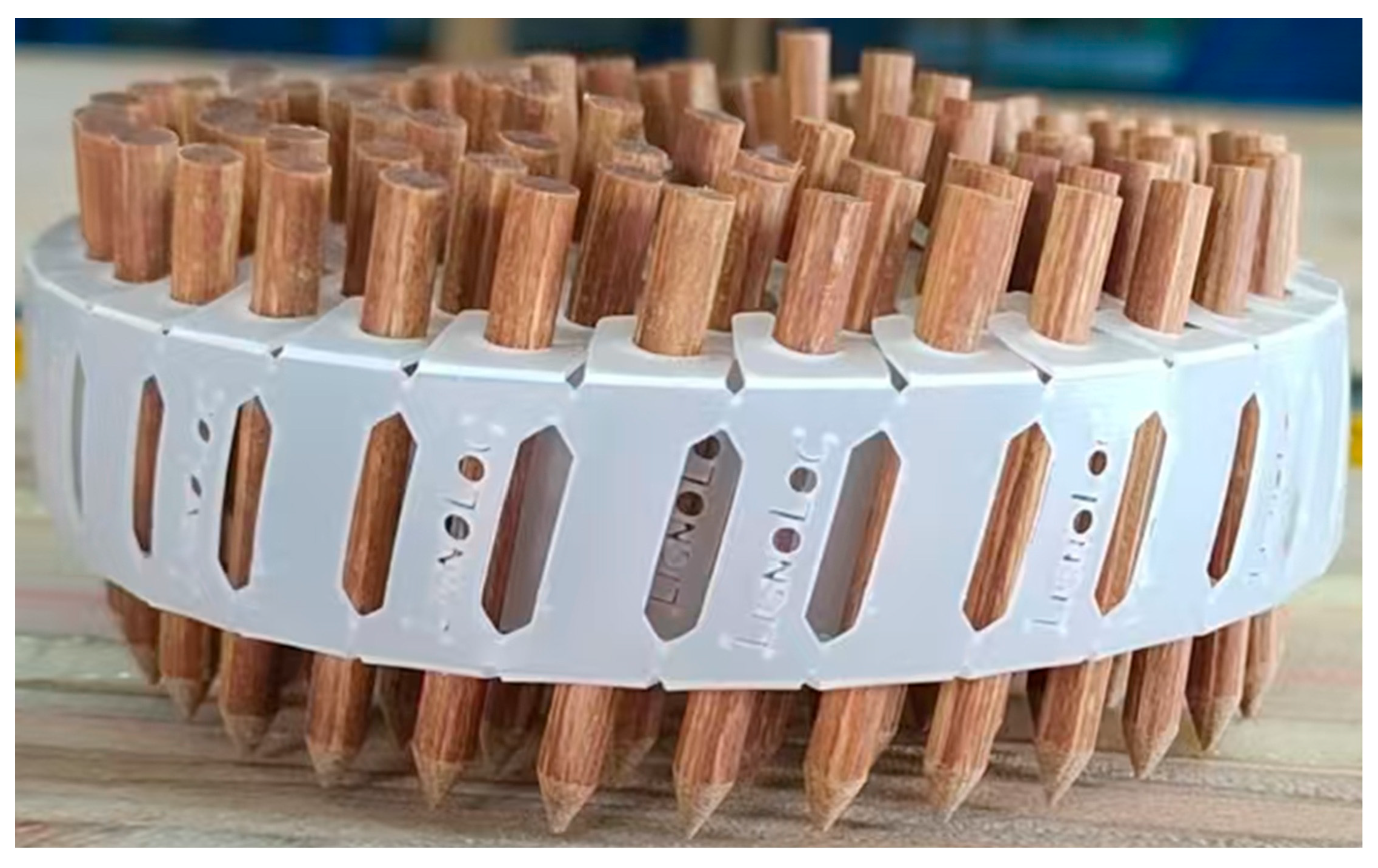 Forests 16 00940 g001