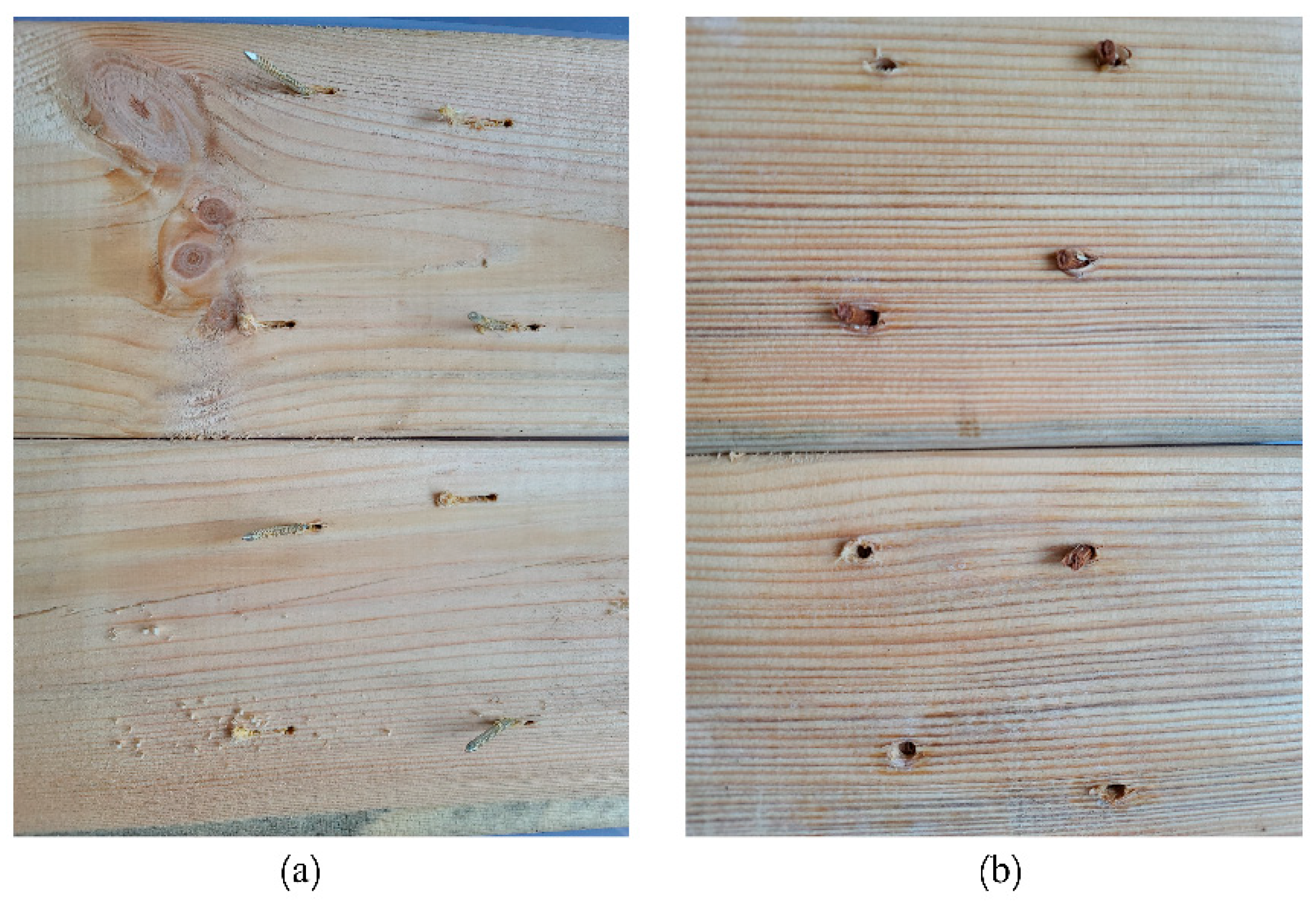 Forests 16 00940 g004