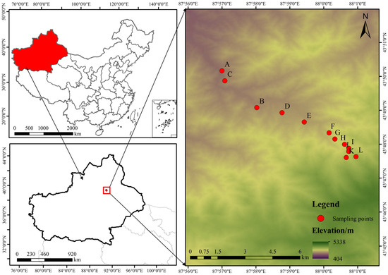 Altitudinal Variation in Effect of Climate and Neighborhood
