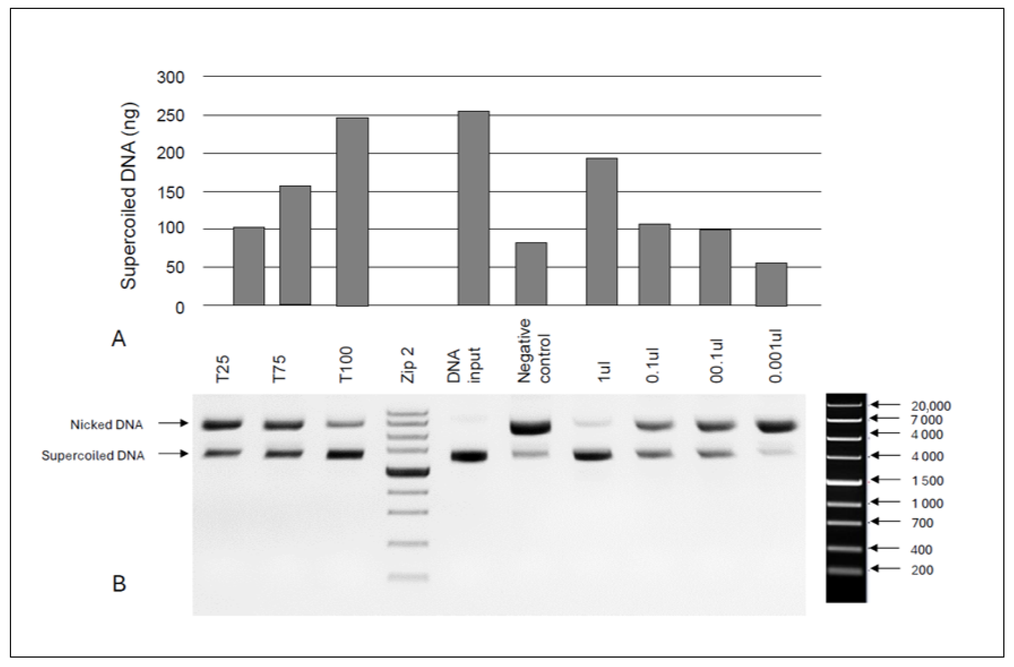 Forests 16 00951 g003