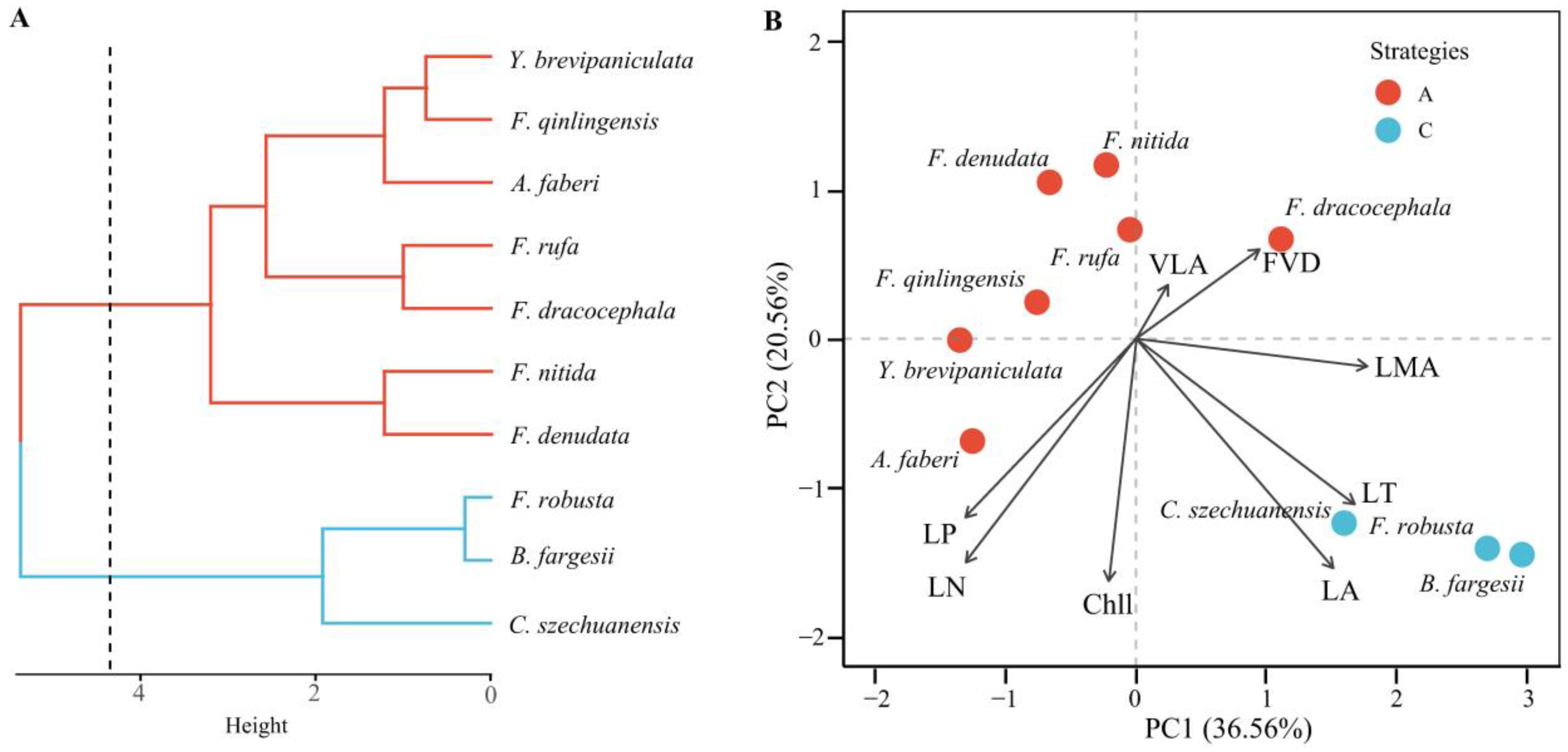 Forests 16 00954 g006
