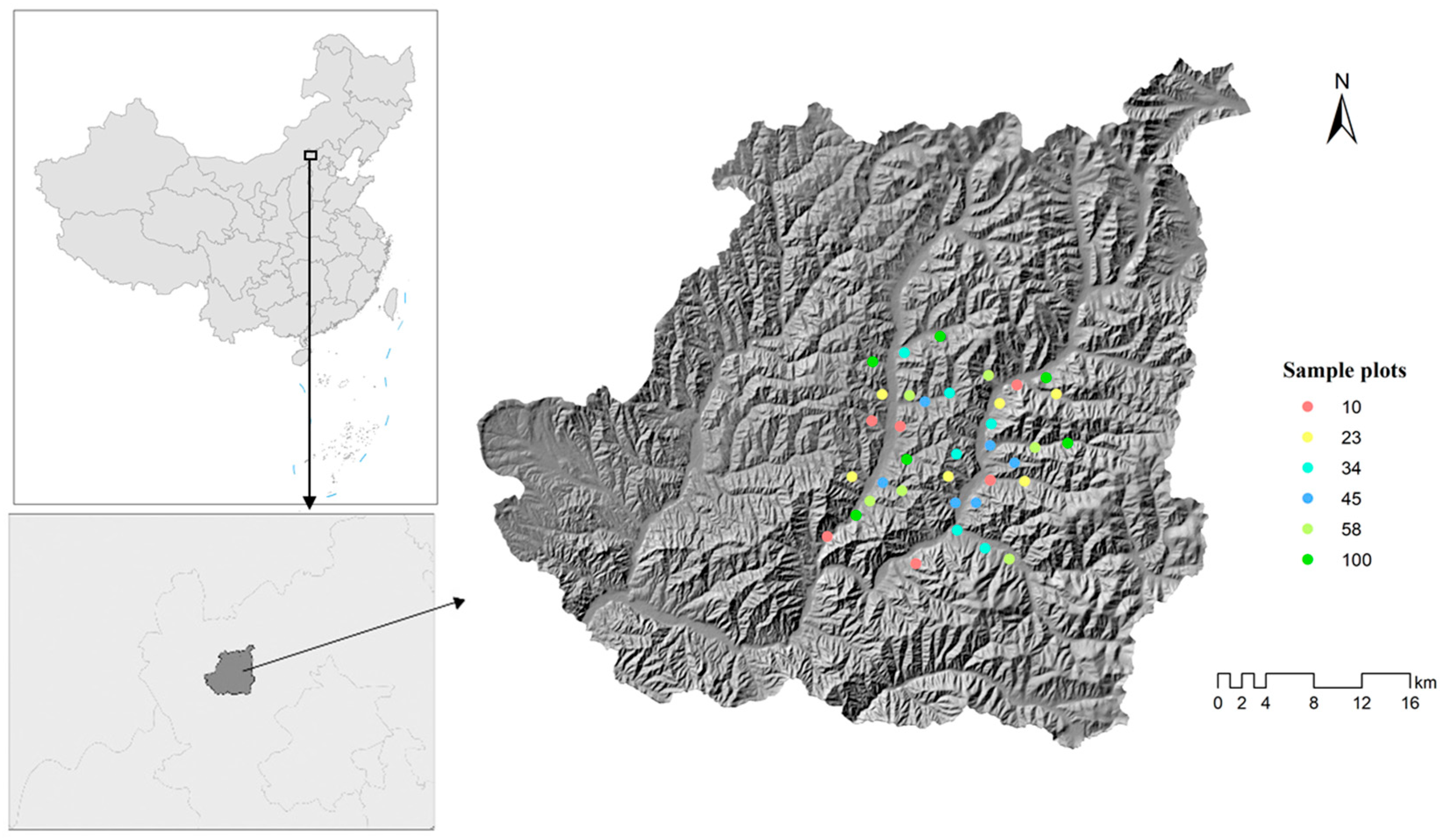 Forests 16 00956 g001