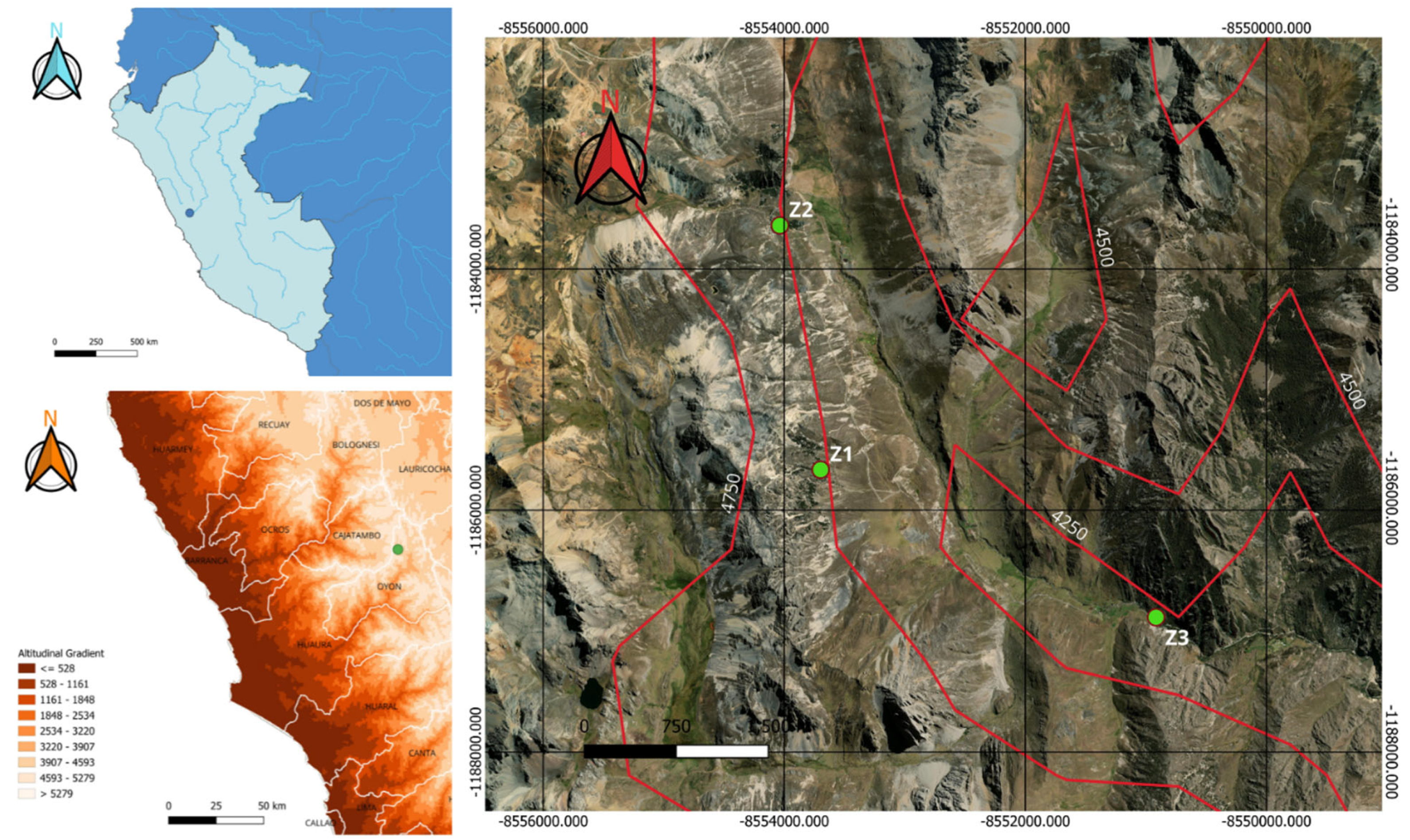 Forests 16 00957 g001