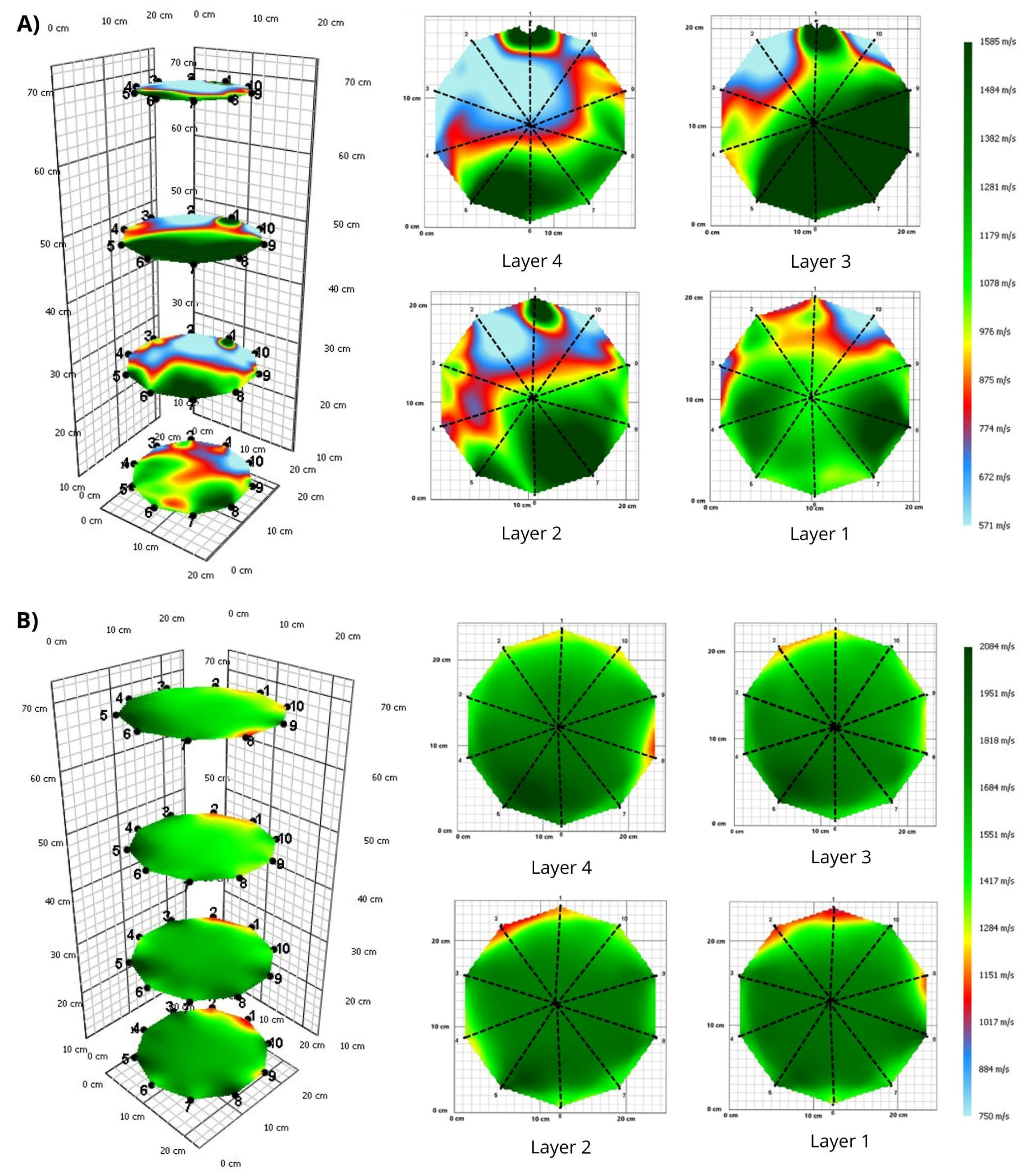 Forests 16 00957 g004