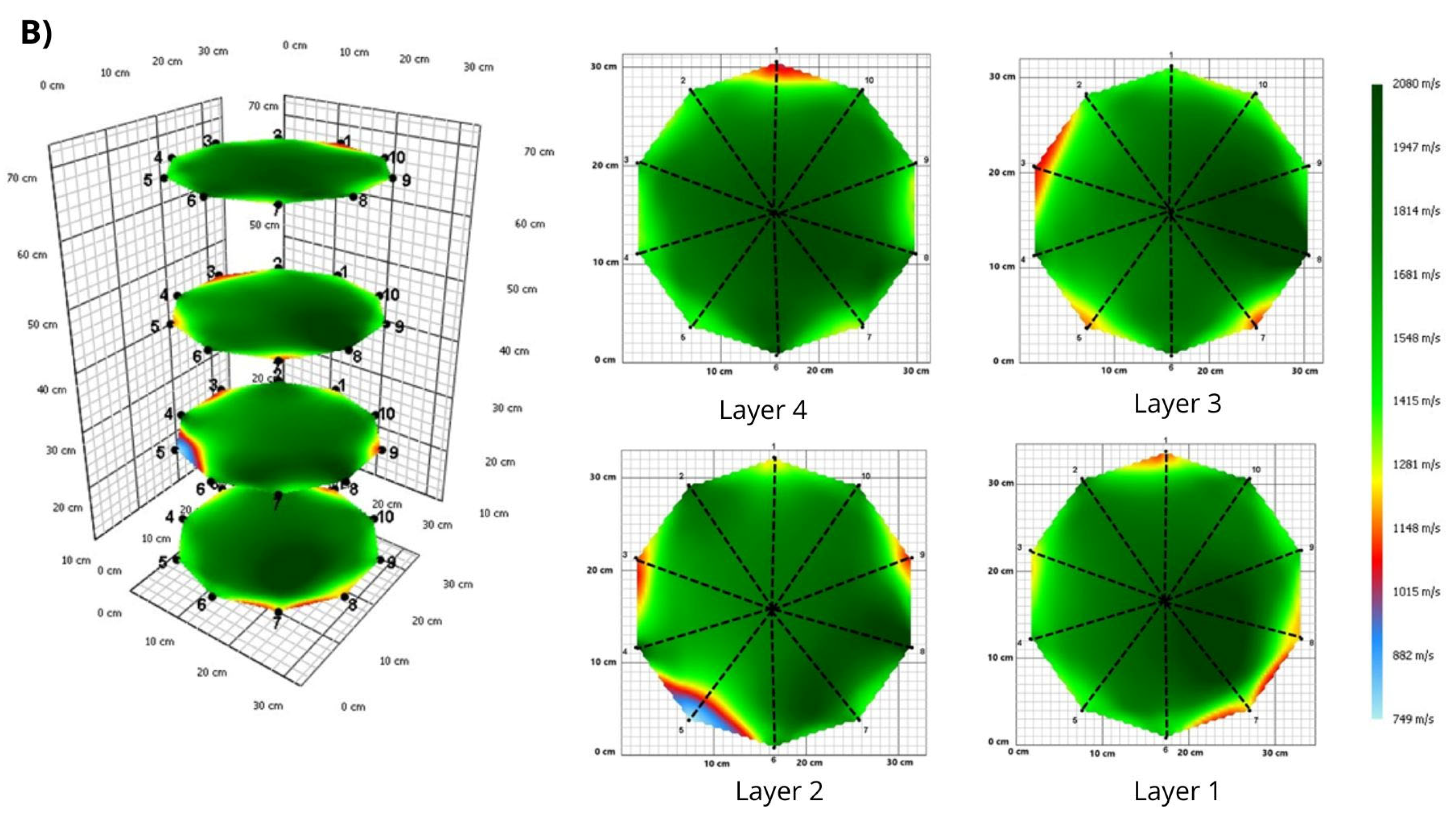 Forests 16 00957 g005b