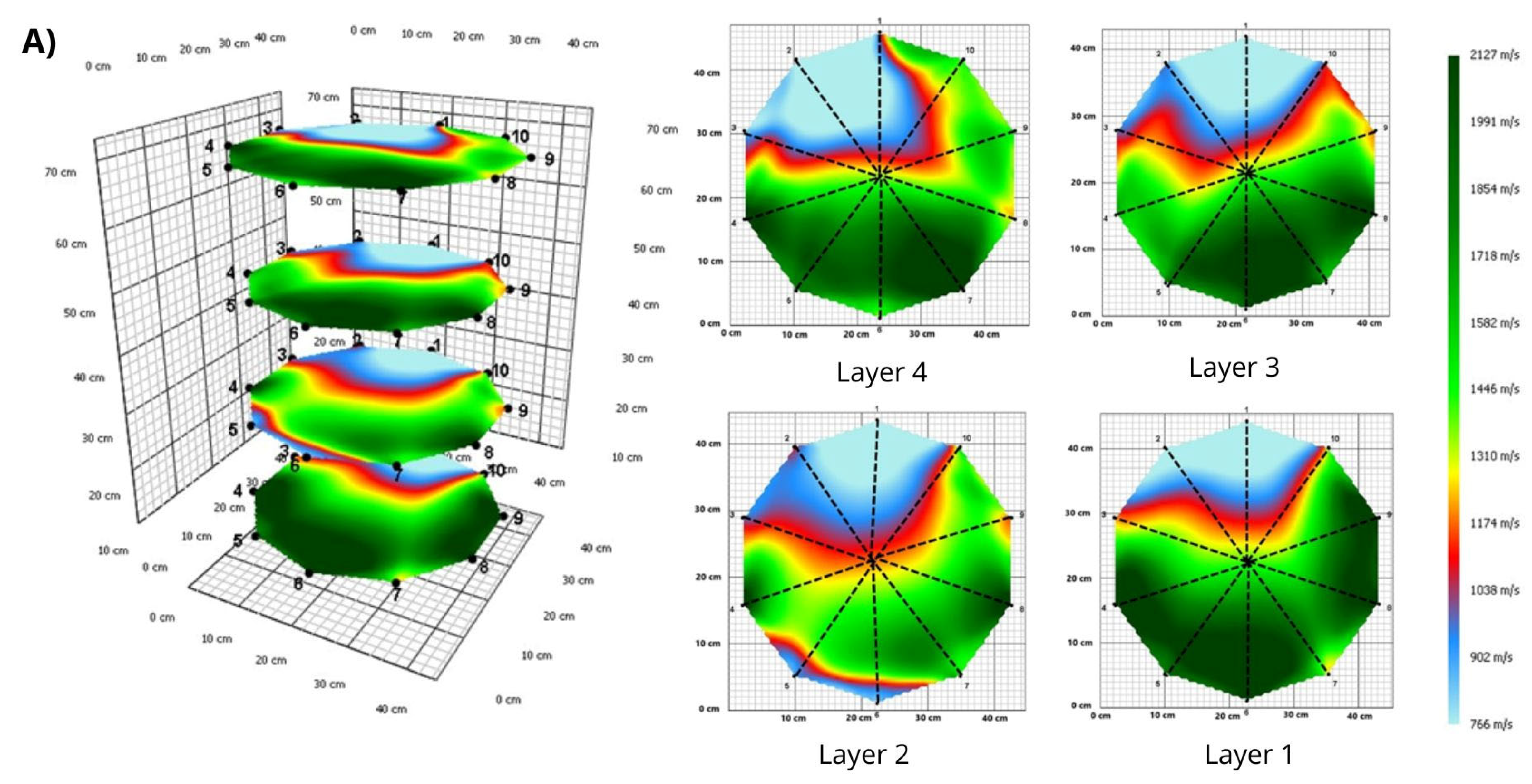 Forests 16 00957 g006a