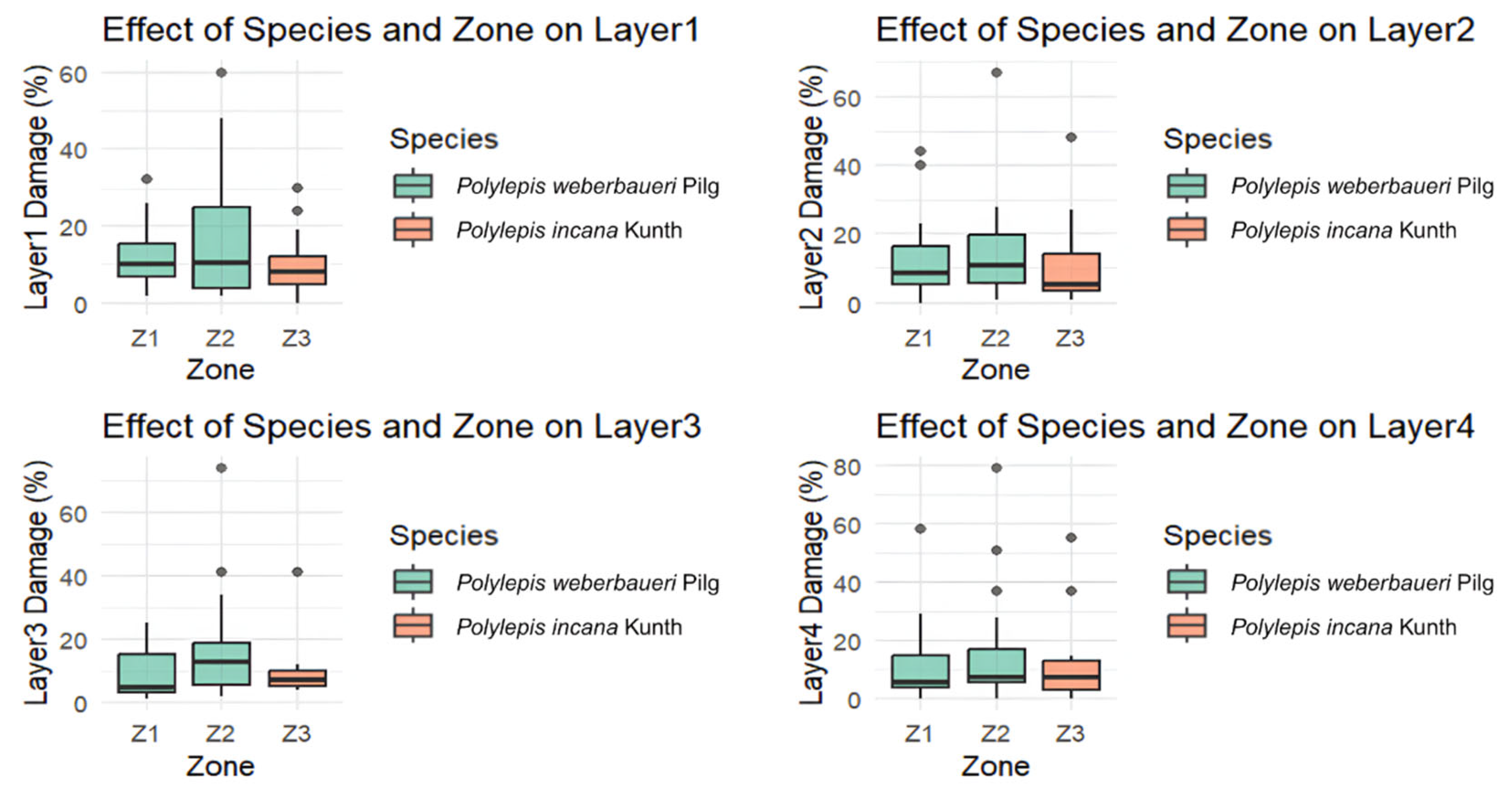 Forests 16 00957 g011