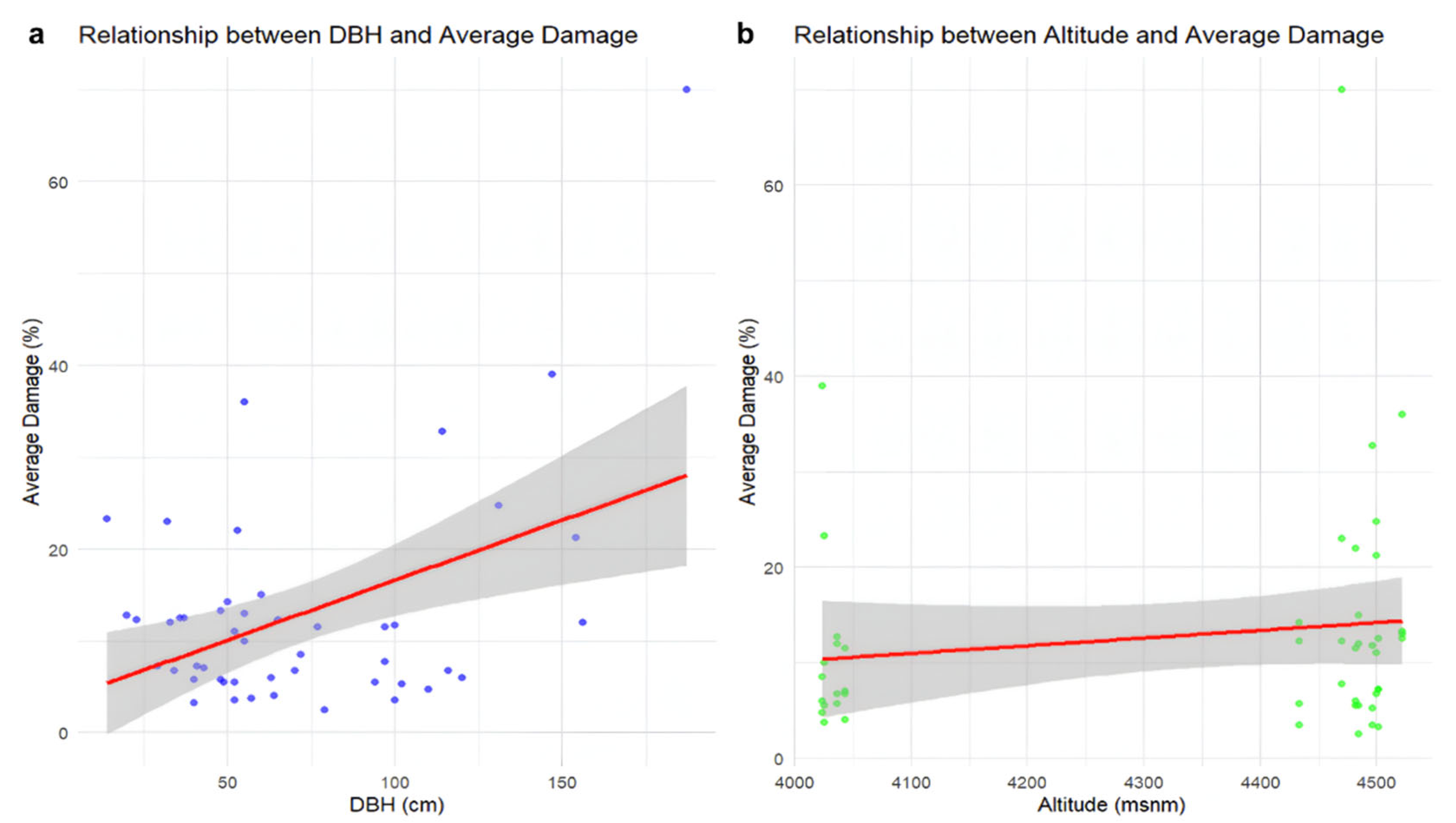 Forests 16 00957 g012