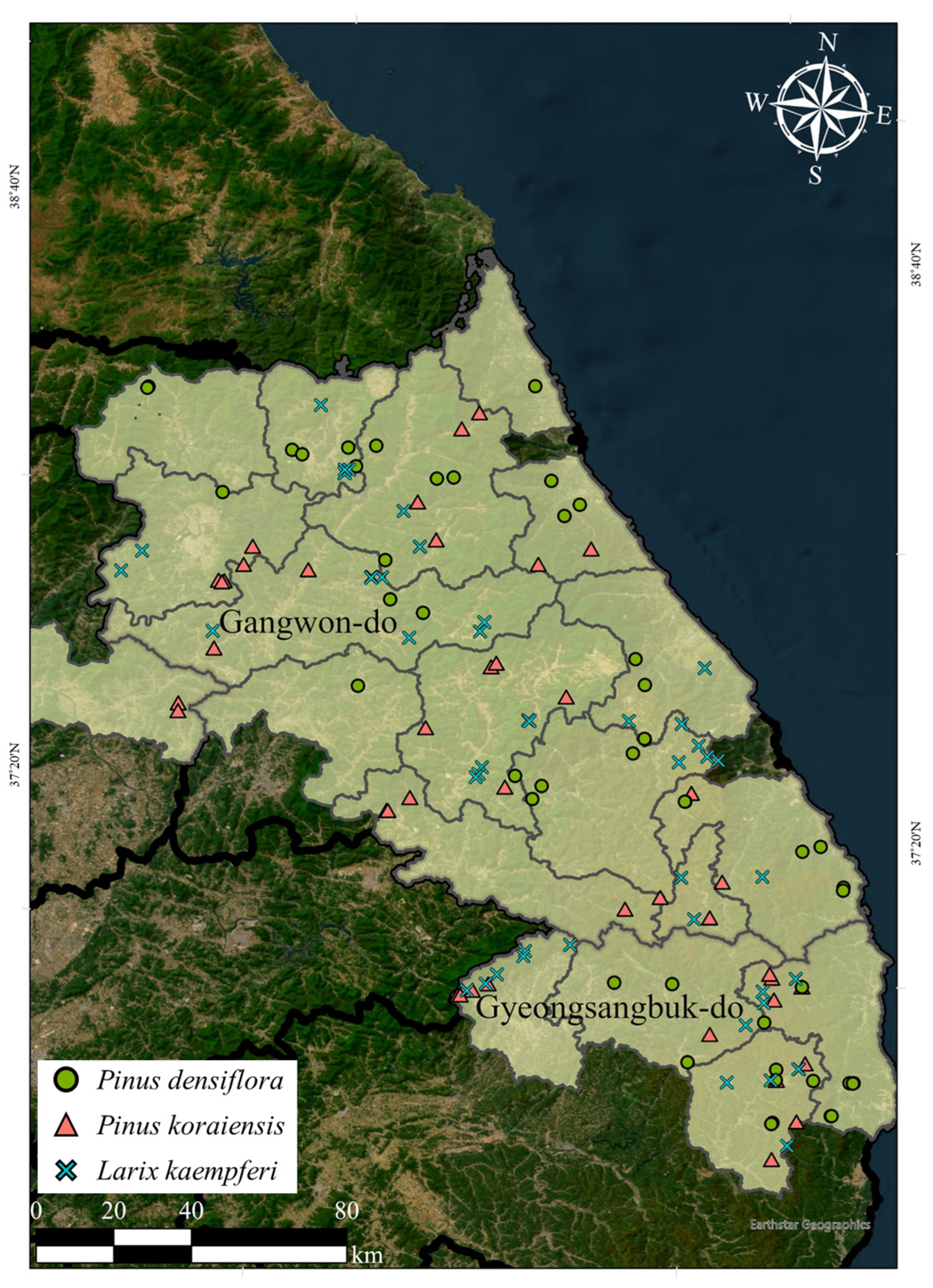 Forests 16 00961 g001